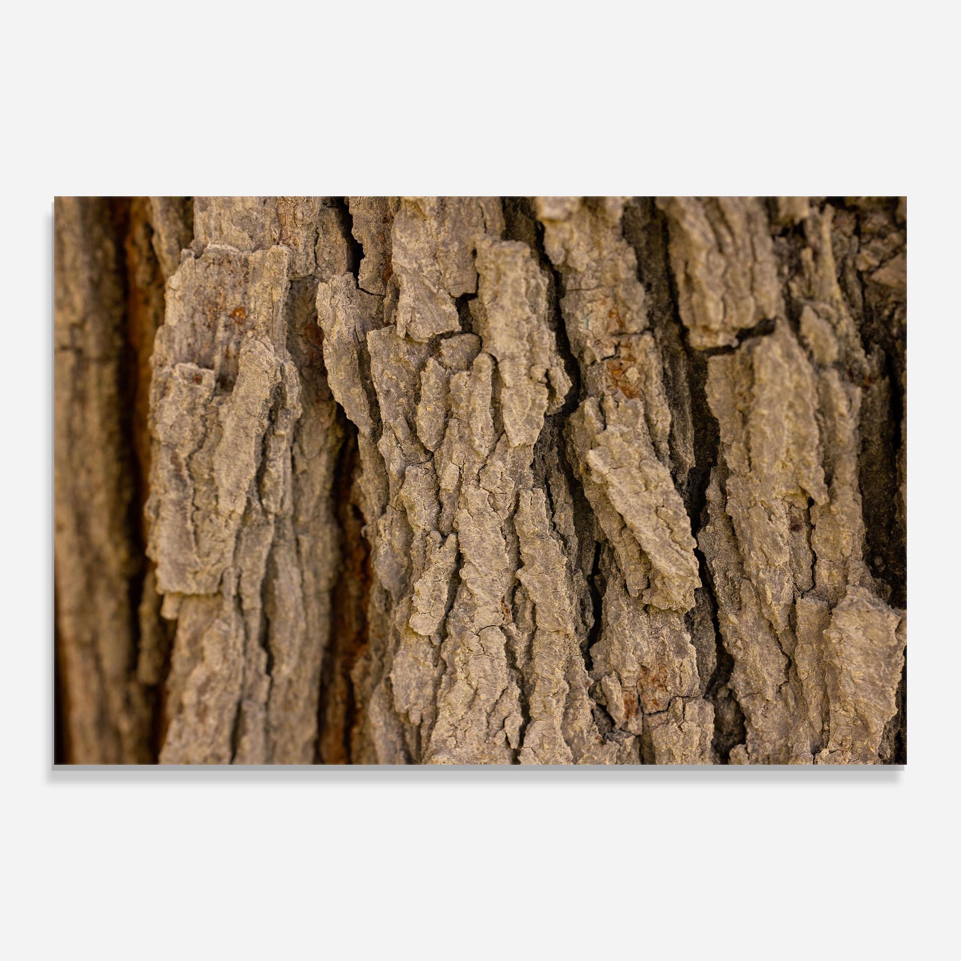 Küchenrückwand Glas Old Wood mockup 0