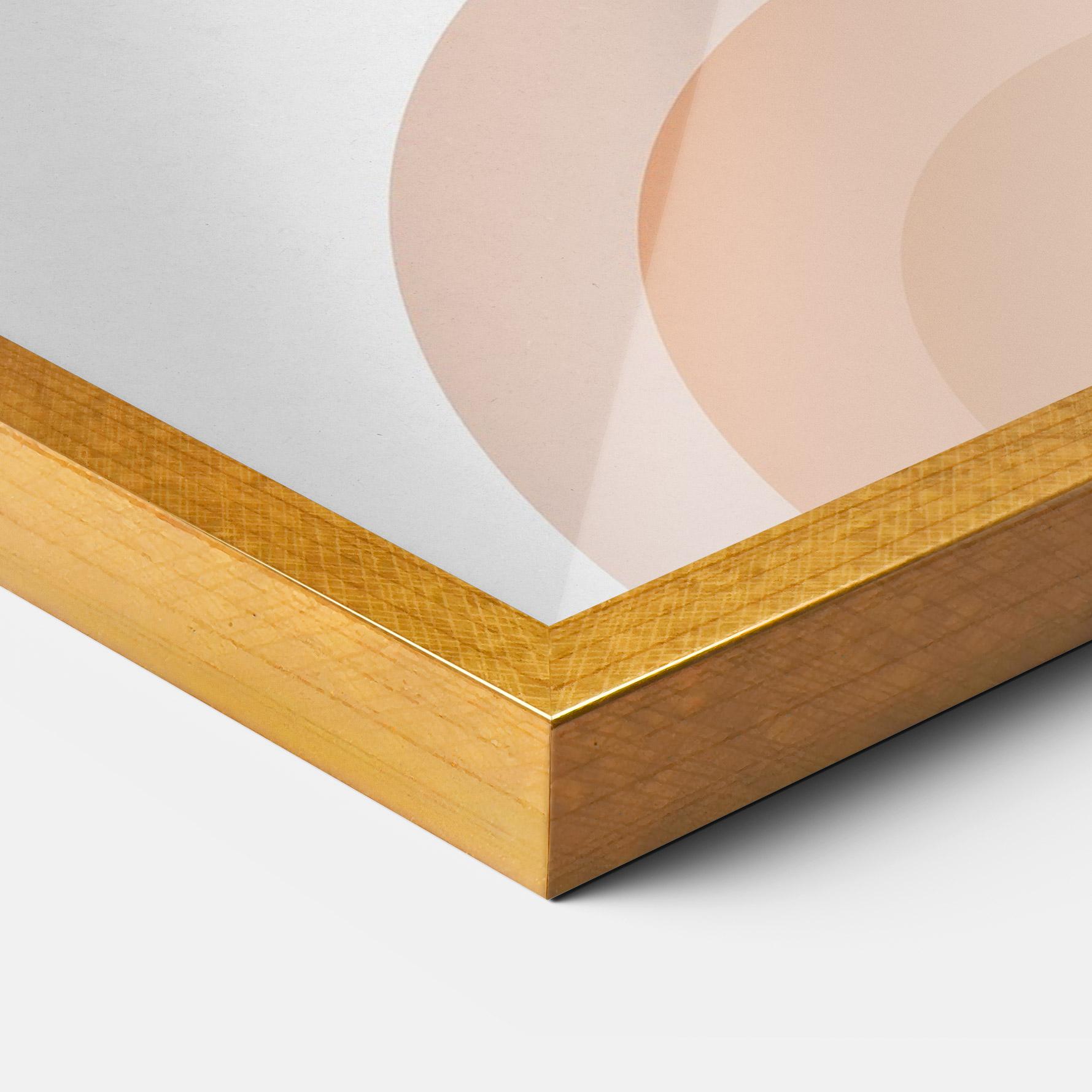 Gerahmte Poster Plant Orange Circle mockup 3