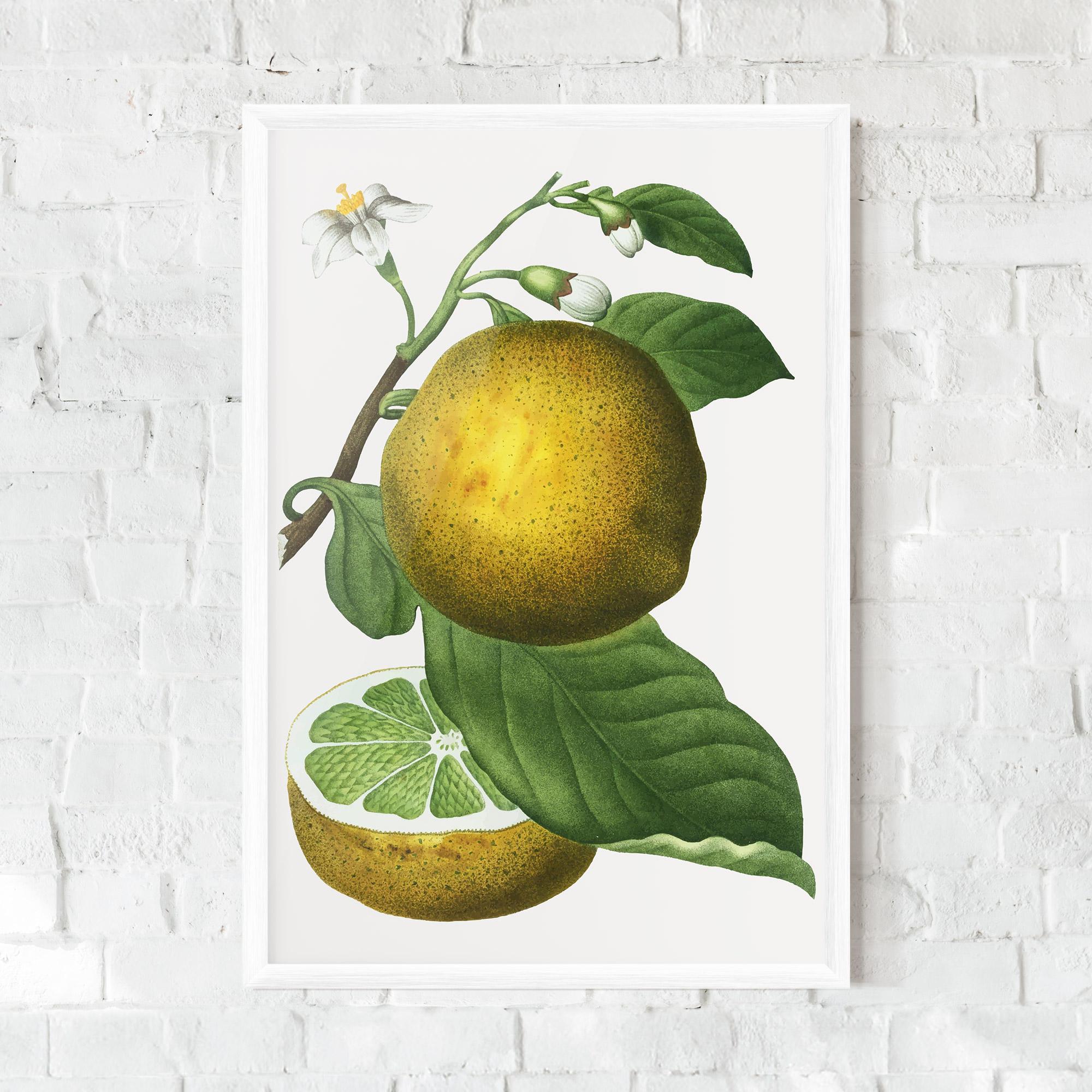 Gerahmte Poster Lime Flower mockup 0