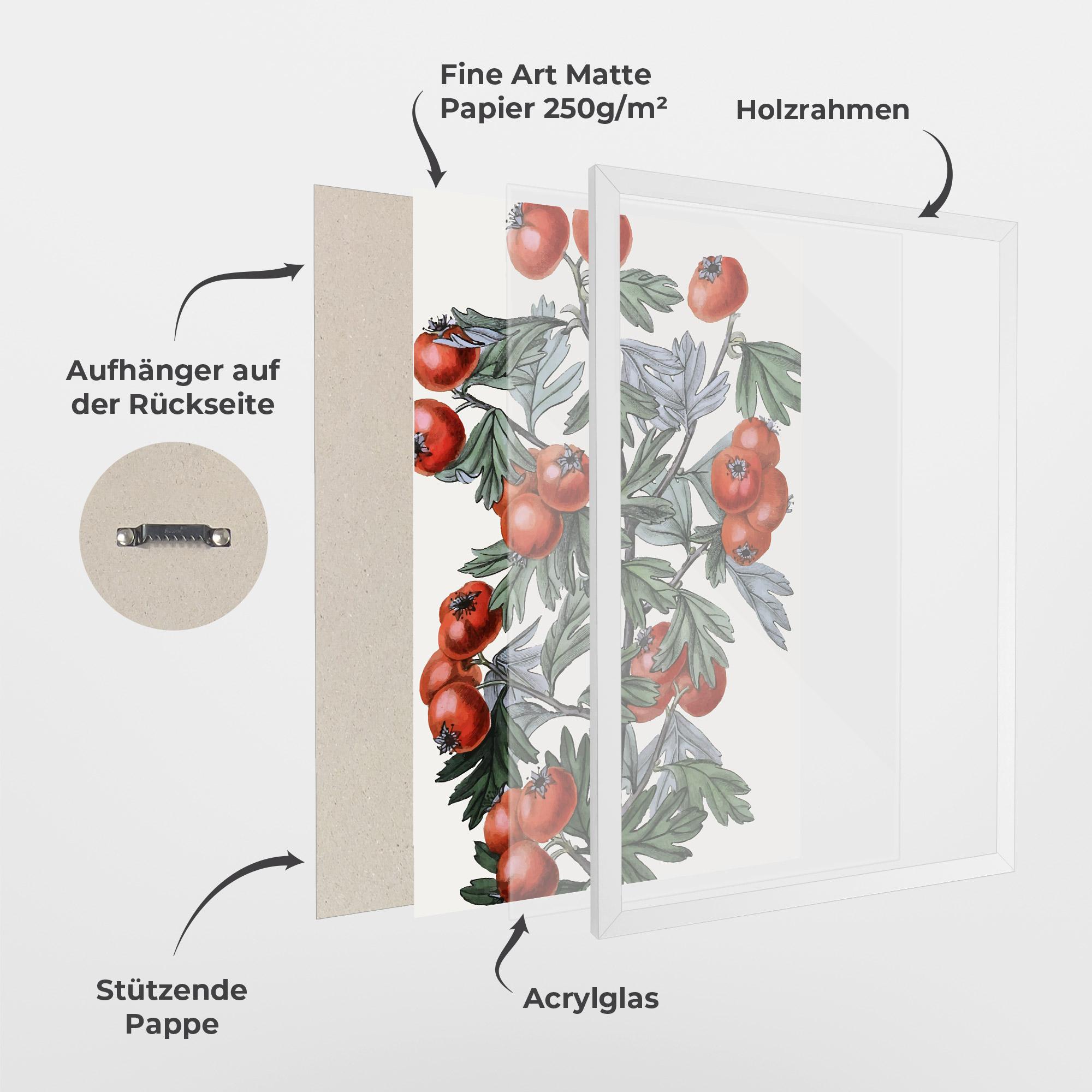 Gerahmte Poster Cherry Drawing mockup 1
