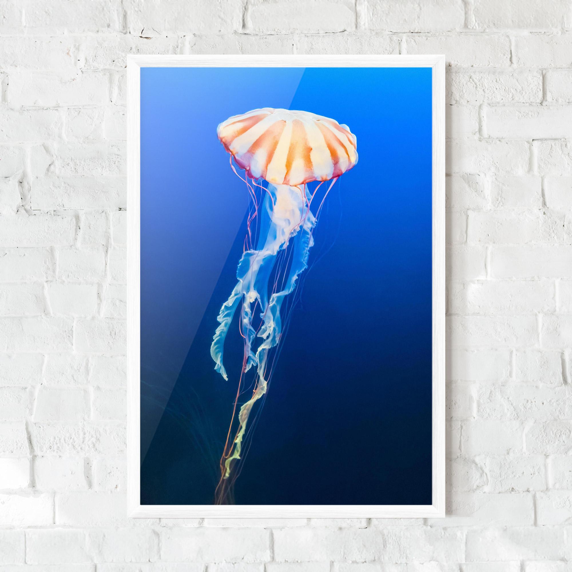 Gerahmte Poster Cream Jellyfish mockup 0