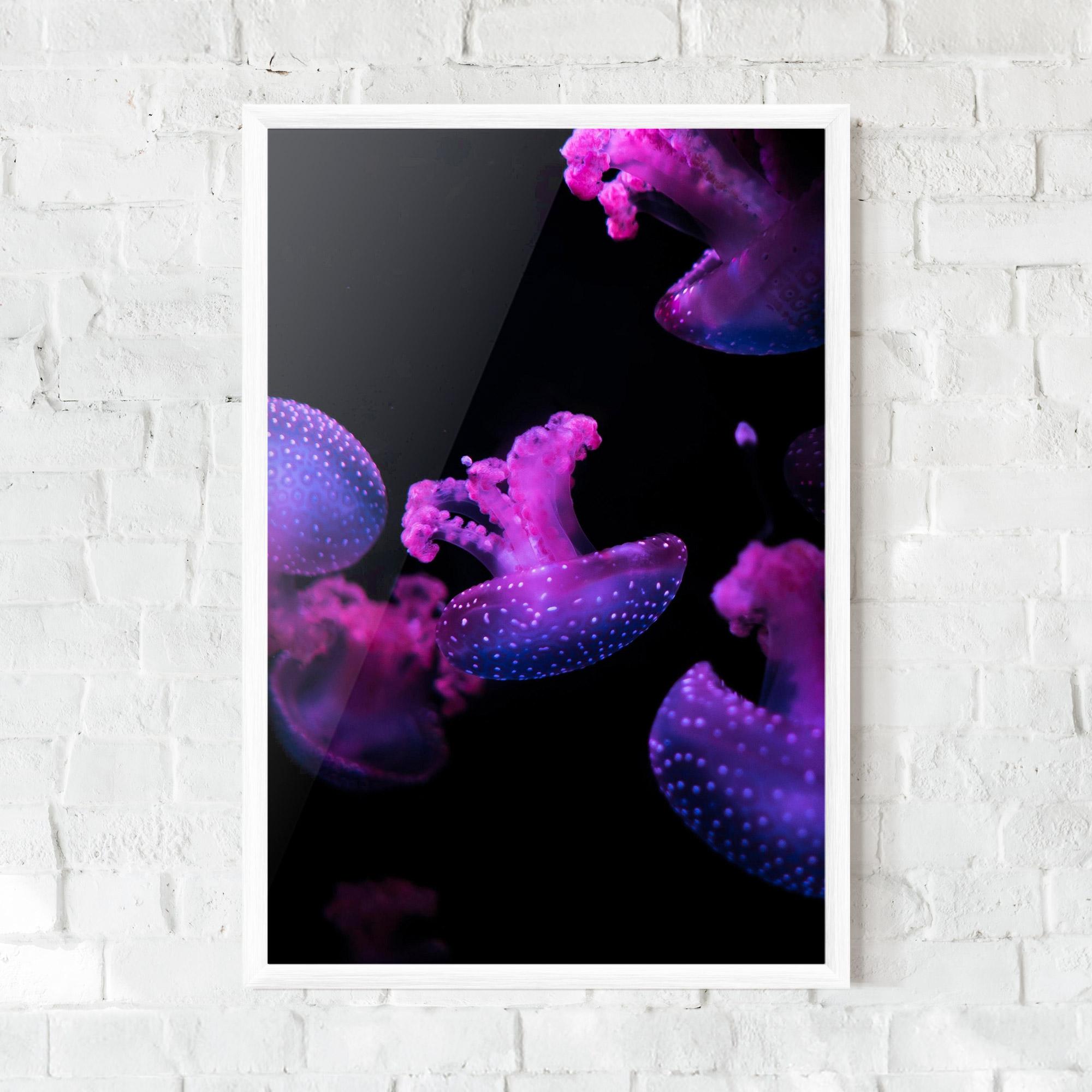 Gerahmte Poster Little Purple Jellyfish mockup 0