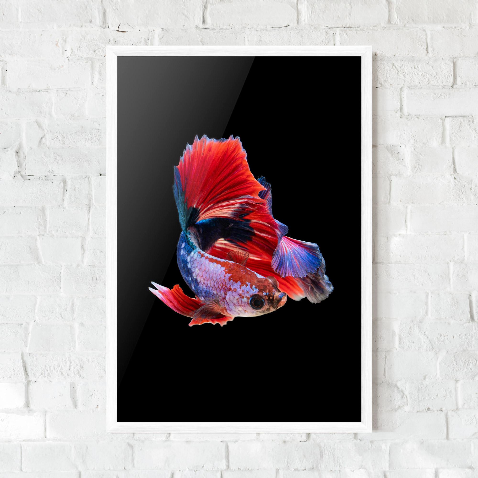 Gerahmte Poster Red Black Betta mockup 0