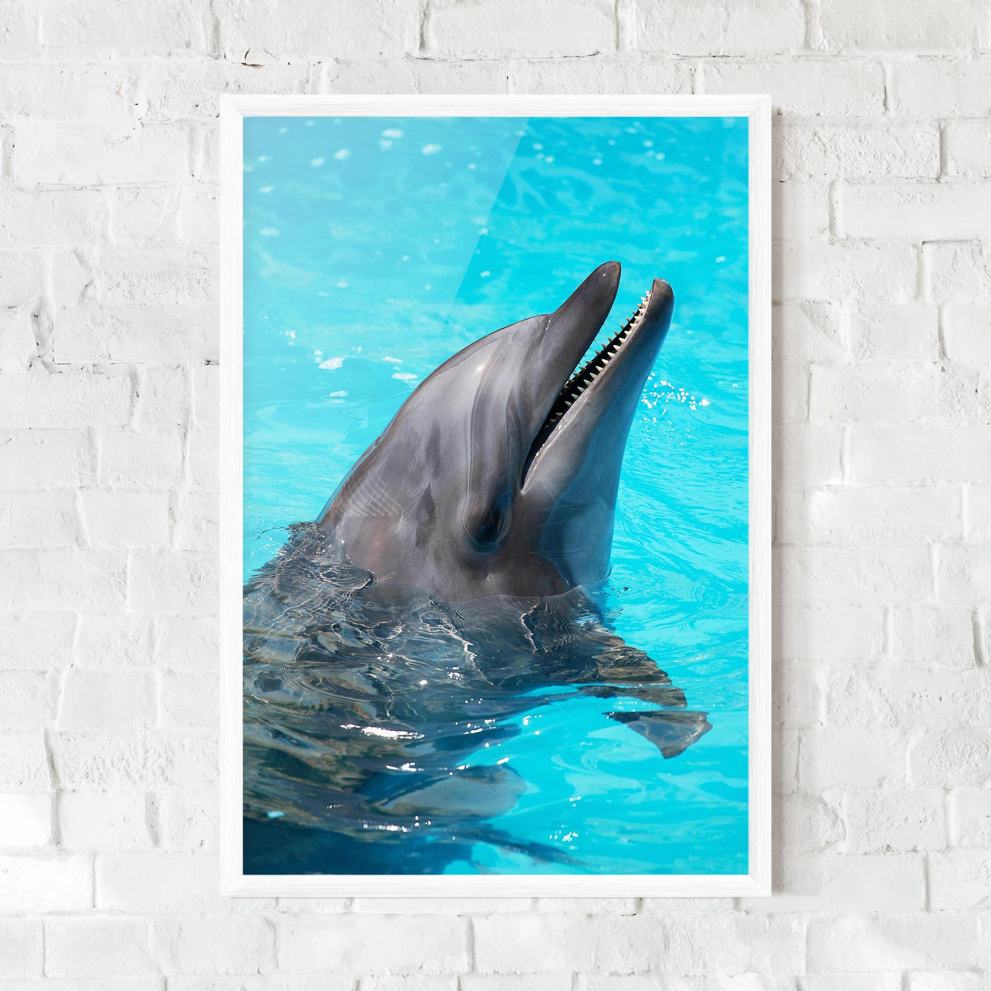 Gerahmte Poster Trained Dolphin mockup 0