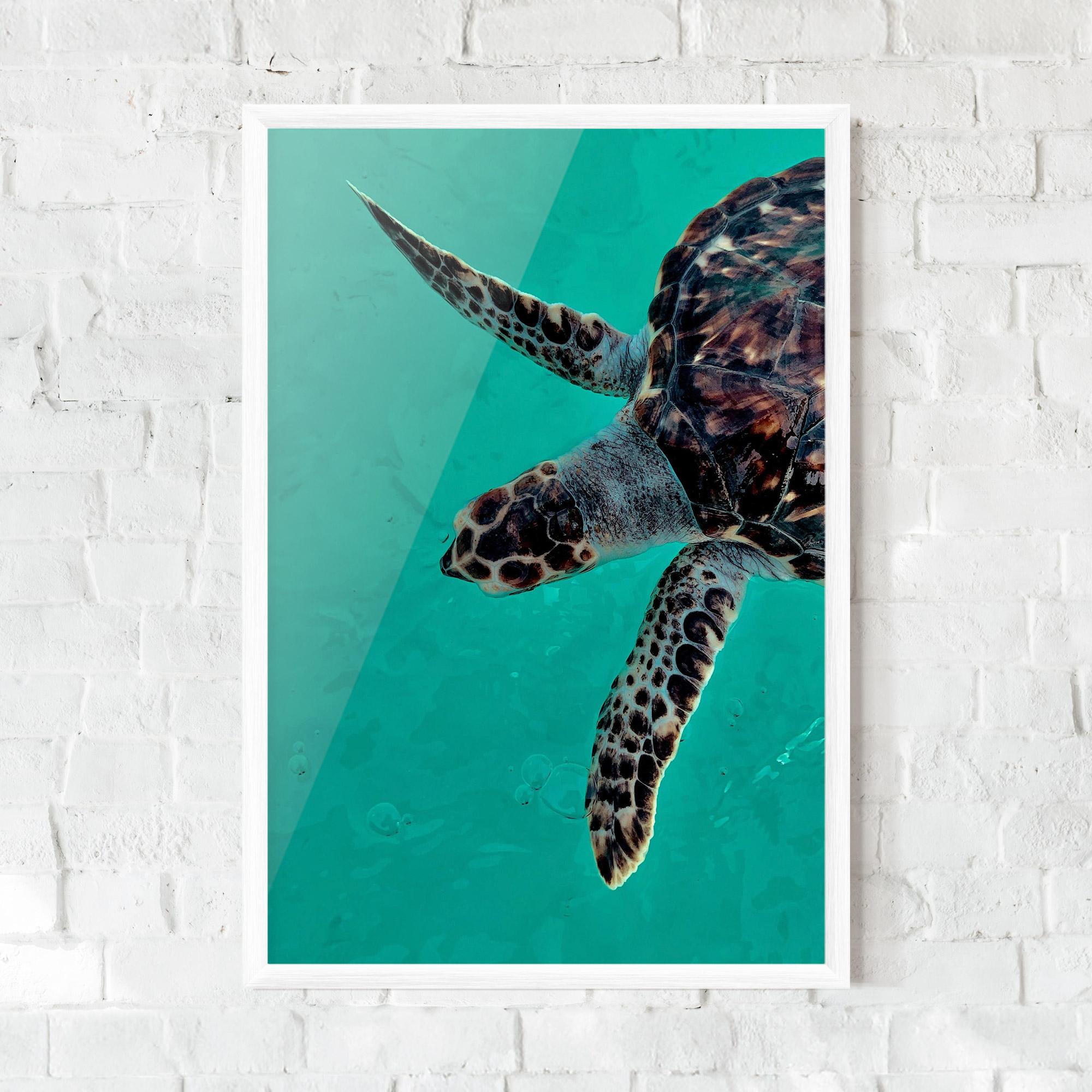 Gerahmte Poster Turtle Sweeming mockup 0