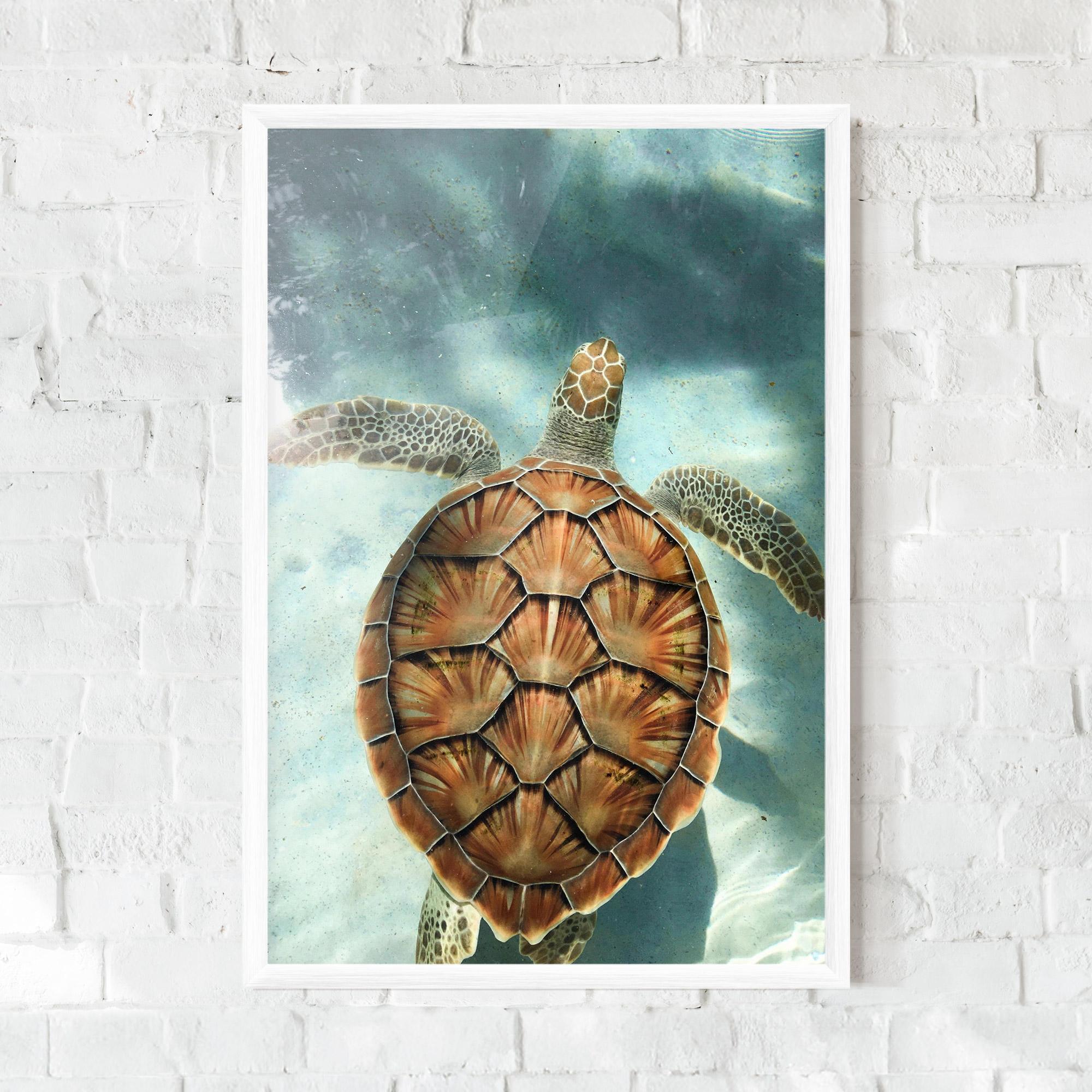 Gerahmte Poster Water Tortoise mockup 0