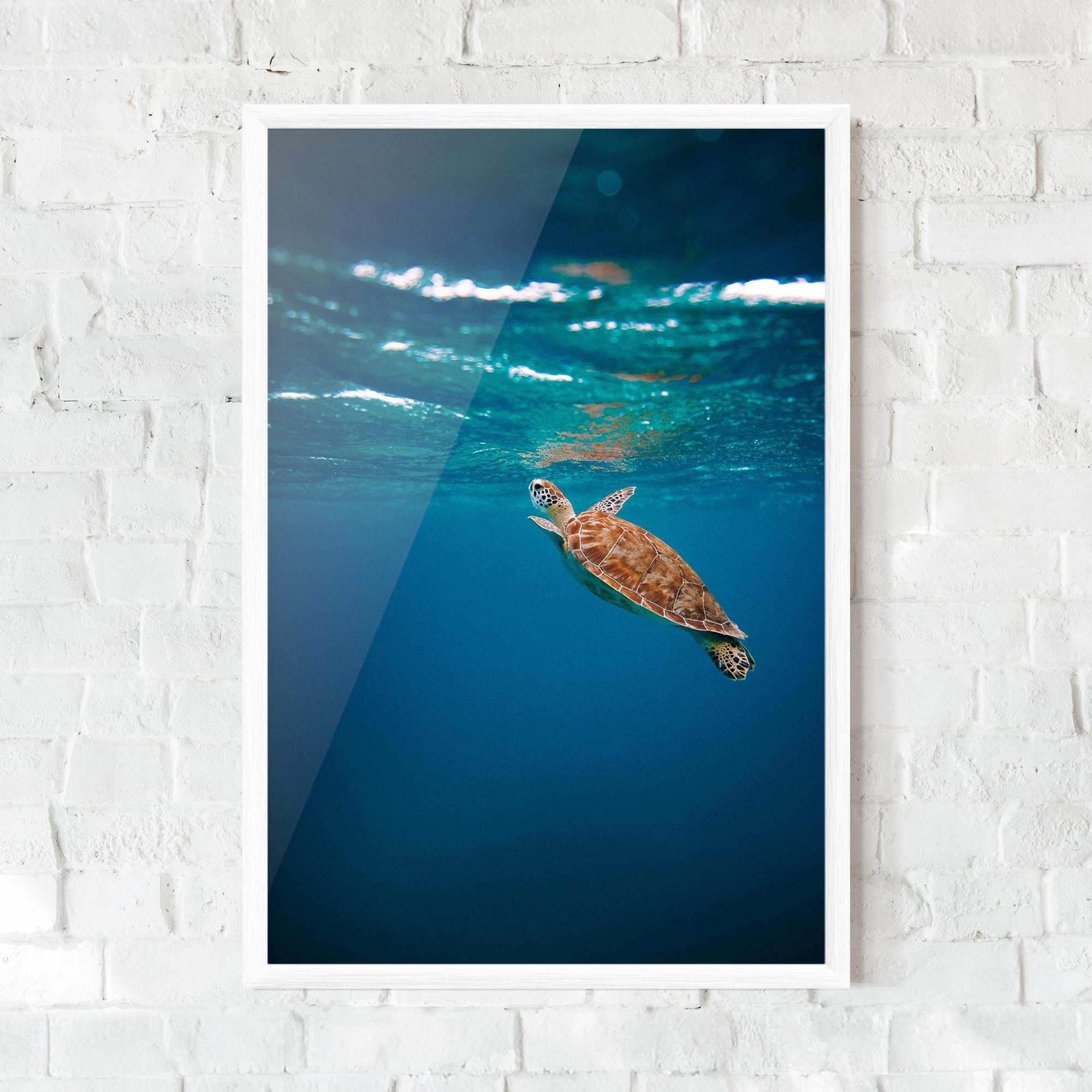 Gerahmte Poster Water Turtle mockup 0
