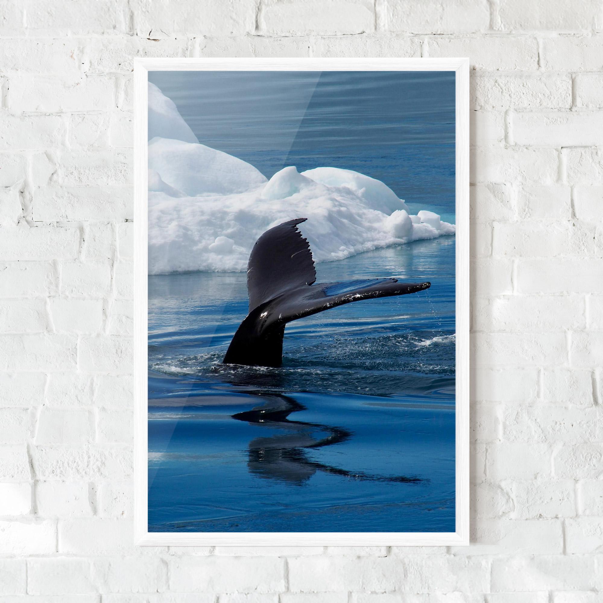 Gerahmte Poster Whale Tail mockup 0