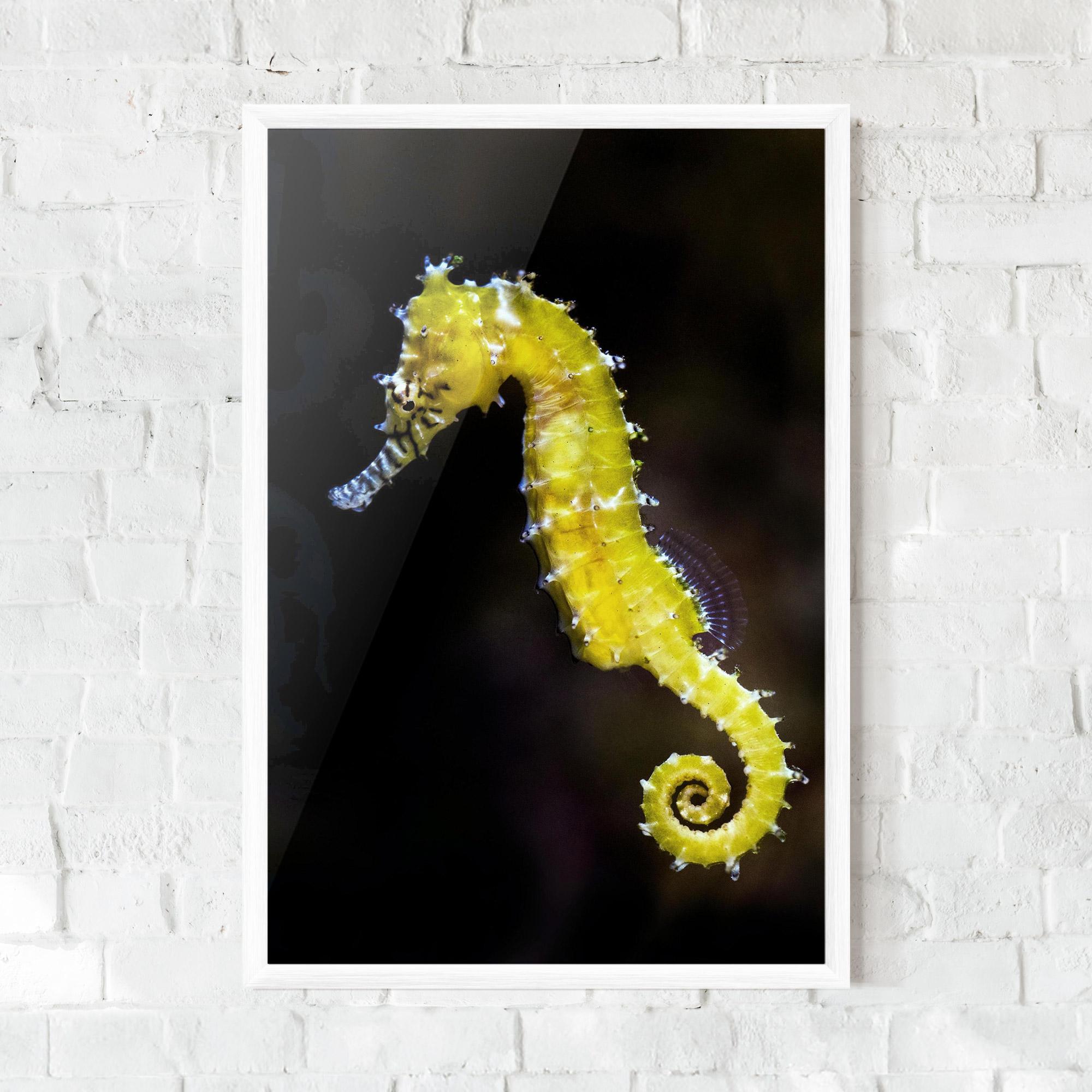 Gerahmte Poster Yellow Seahorse mockup 0