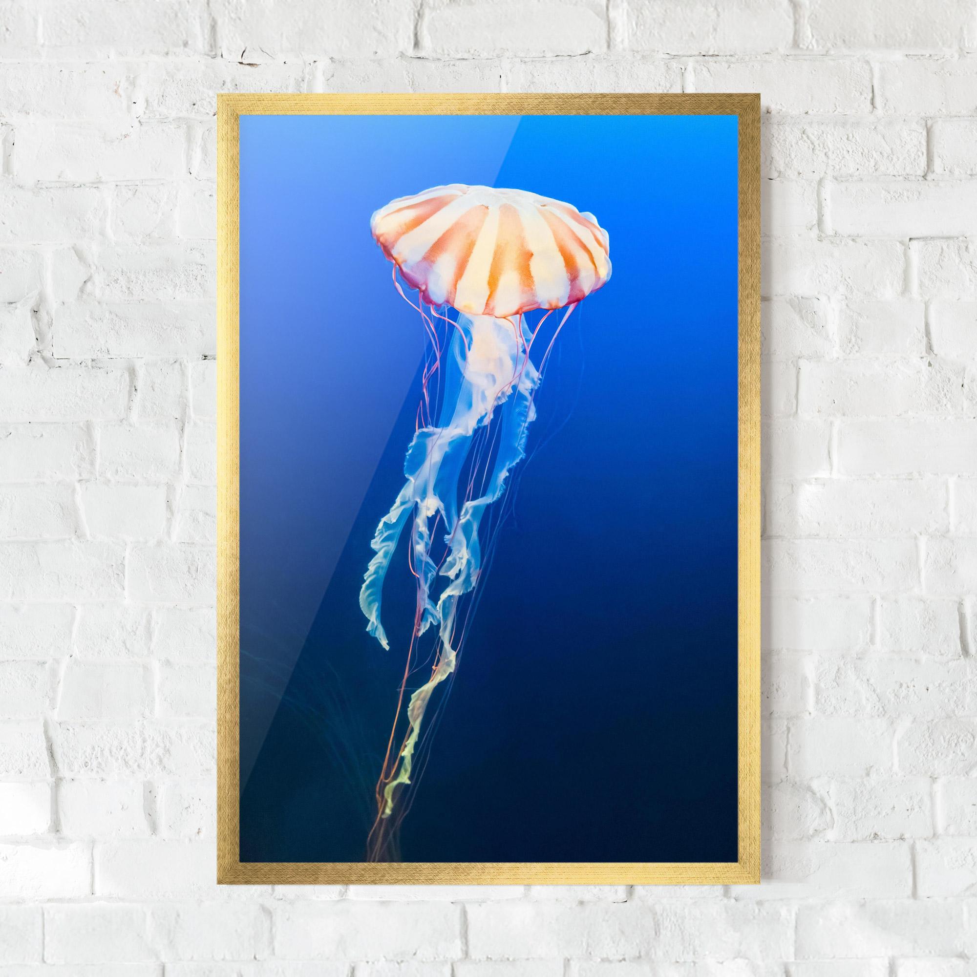 Gerahmte Poster Cream Jellyfish mockup 0