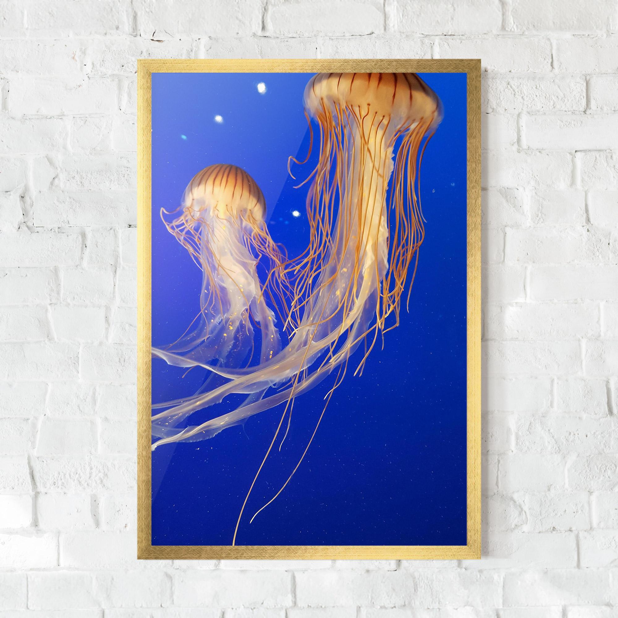 Gerahmte Poster Light Orange Jellyfish mockup 0