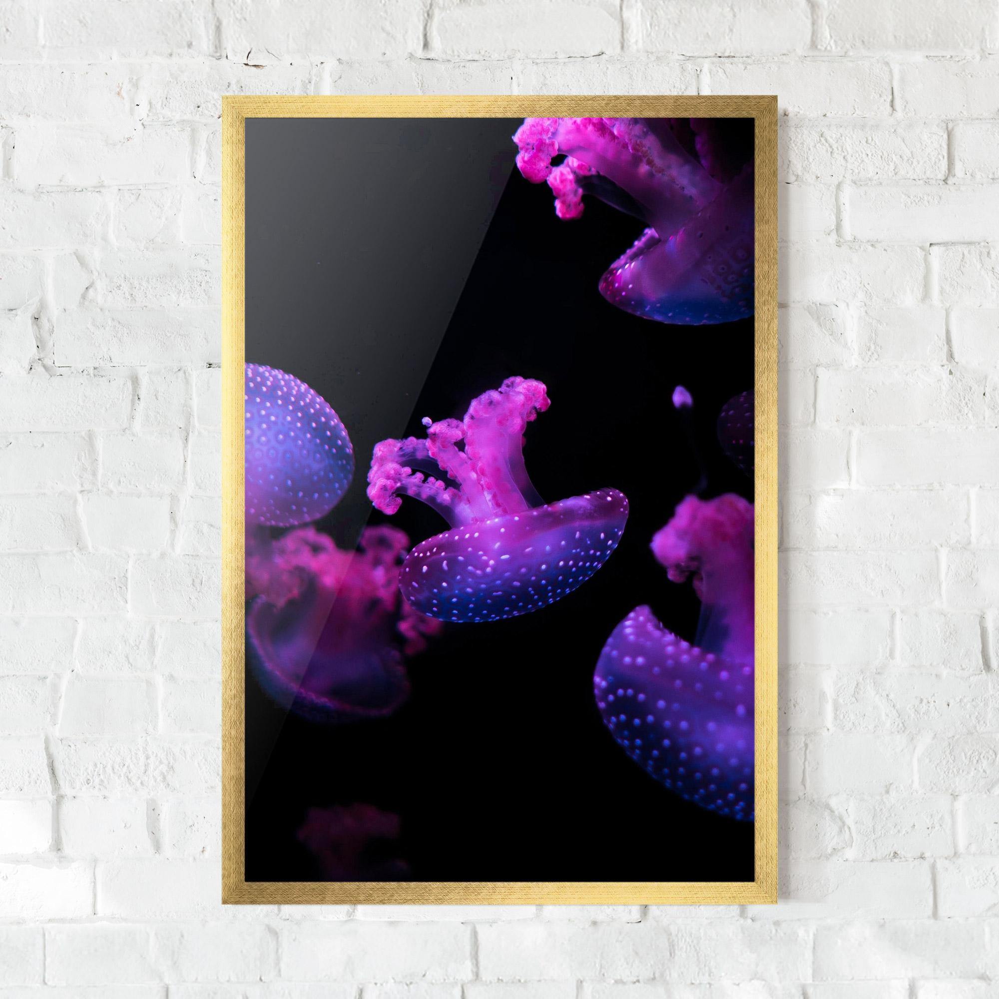 Gerahmte Poster Little Purple Jellyfish mockup 0