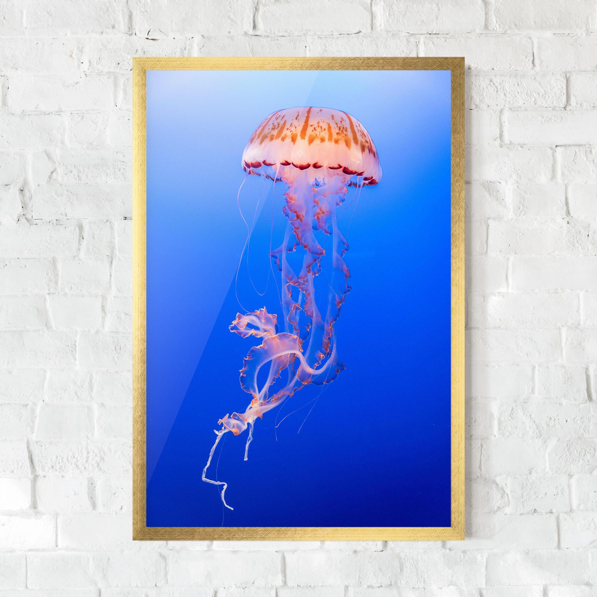 Gerahmte Poster Pretty White Jellyfish mockup 0