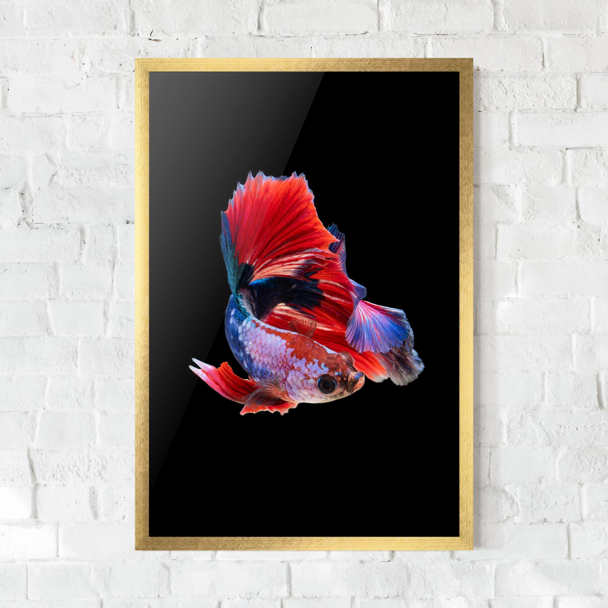 Gerahmte Poster Red Black Betta mockup 0