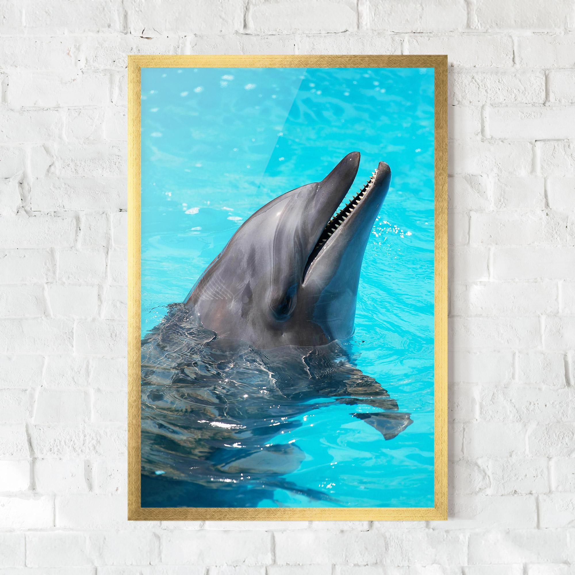 Gerahmte Poster Trained Dolphin mockup 0