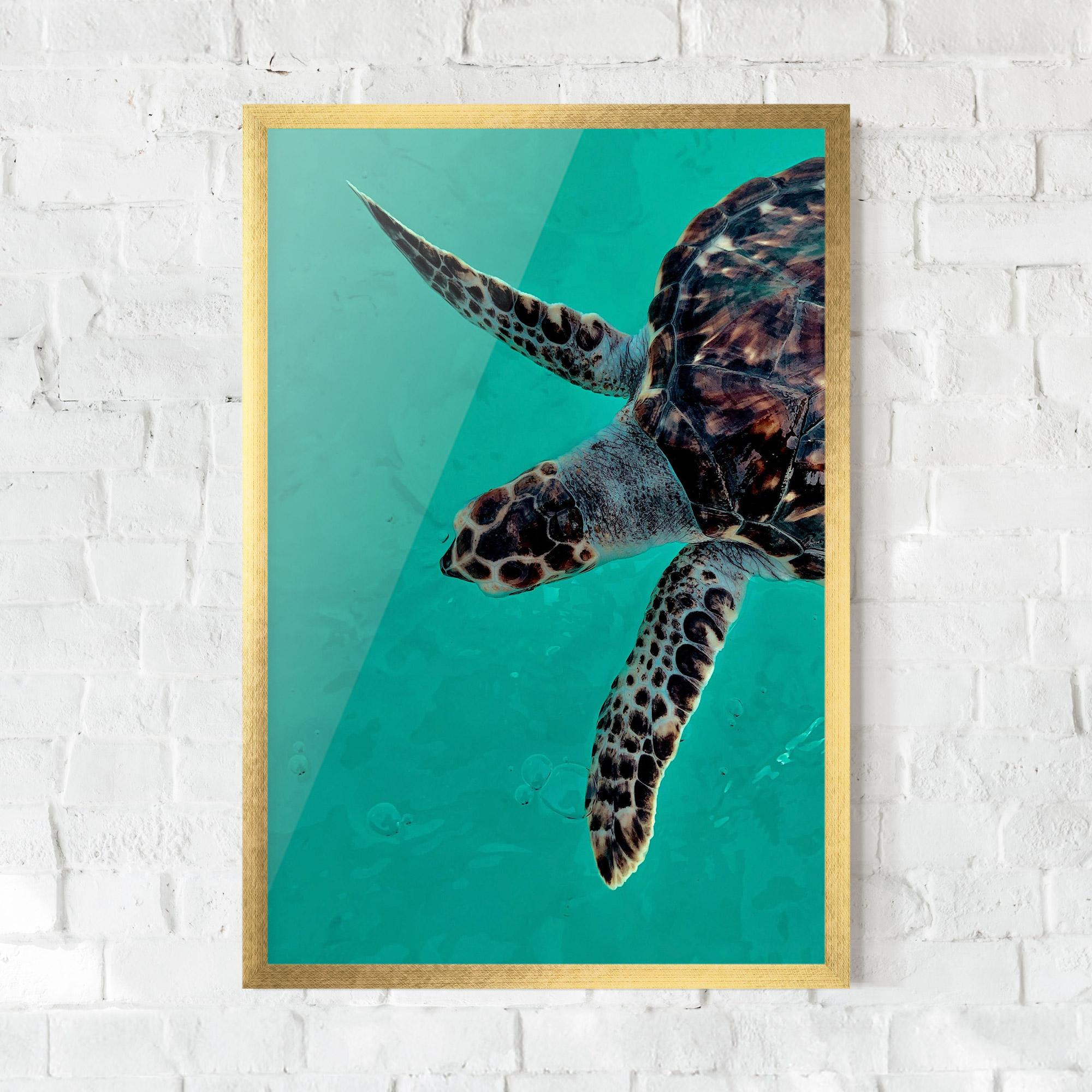 Gerahmte Poster Turtle Sweeming mockup 0