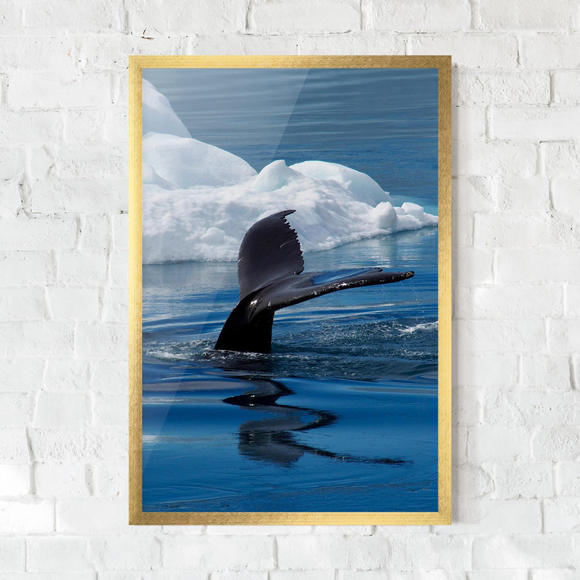 Gerahmte Poster Whale Tail mockup 0