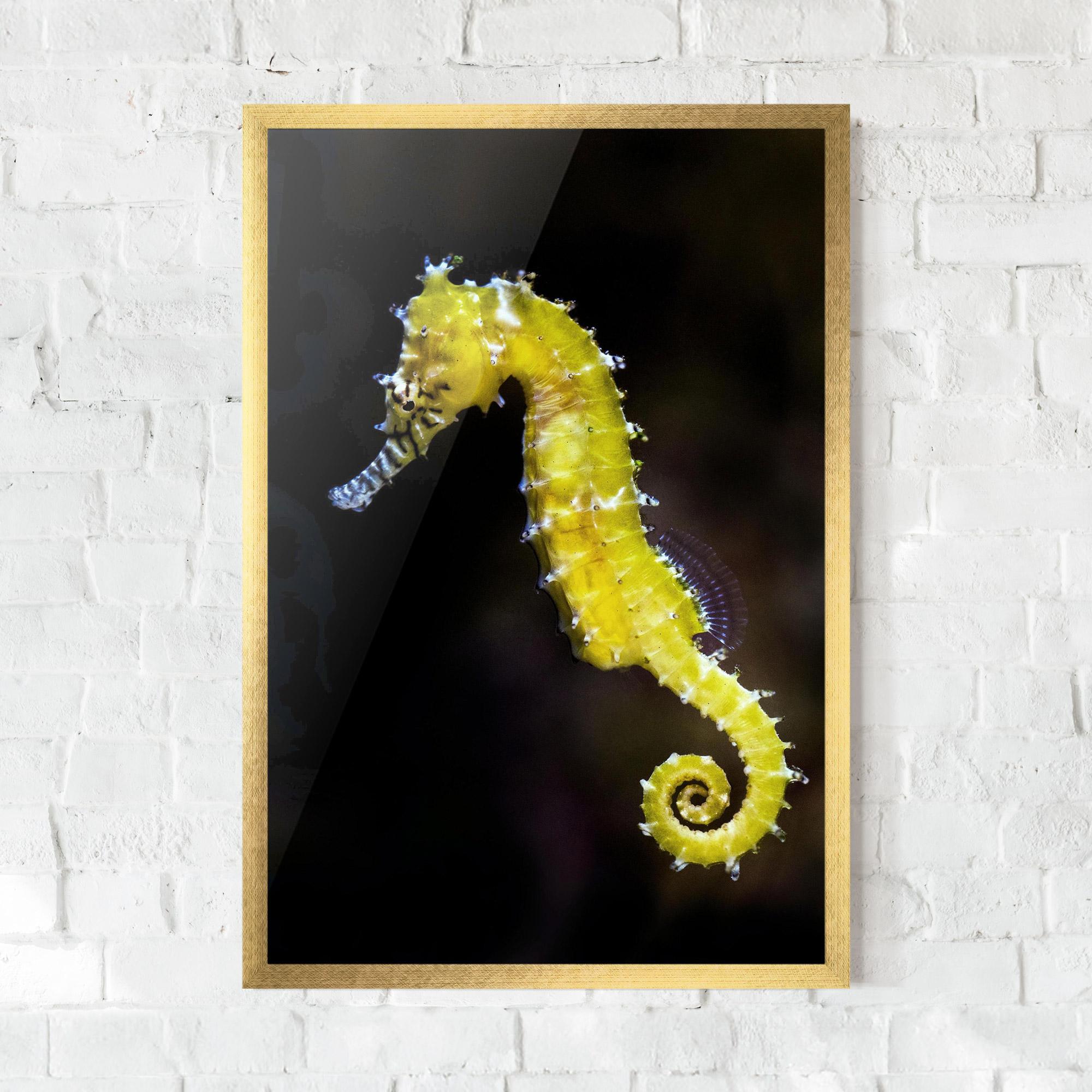 Gerahmte Poster Yellow Seahorse mockup 0
