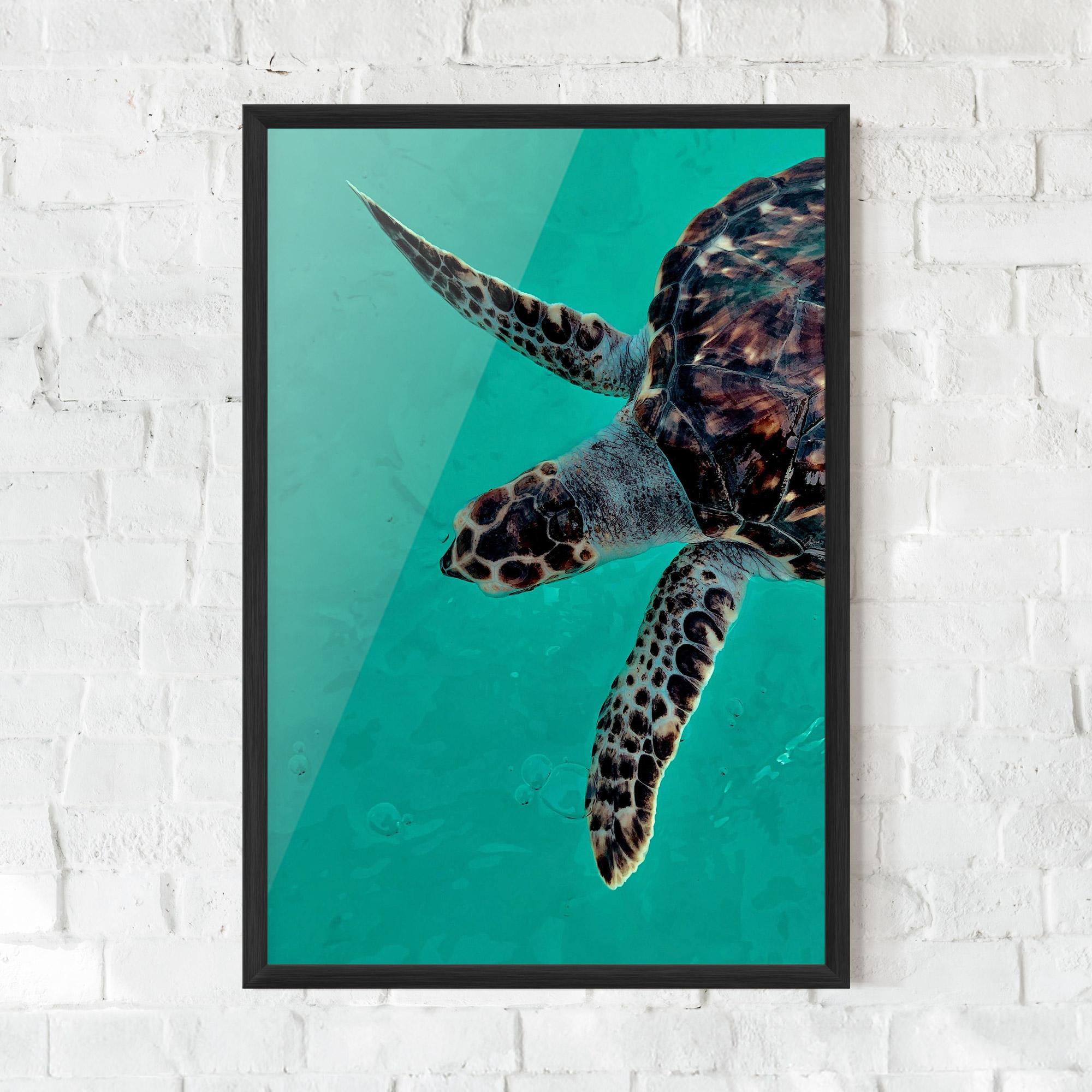 Gerahmte Poster Turtle Sweeming mockup 0