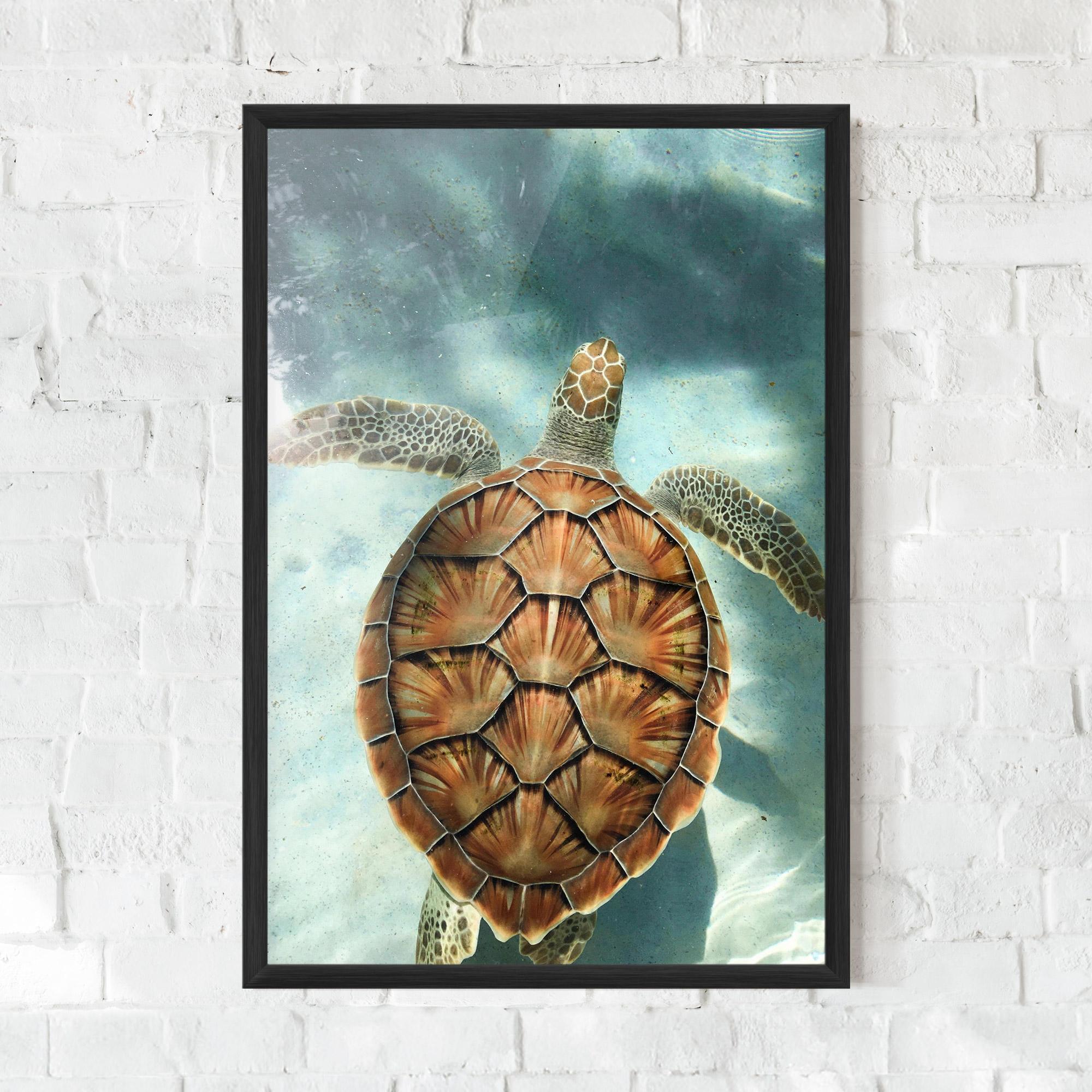 Gerahmte Poster Water Tortoise mockup 0