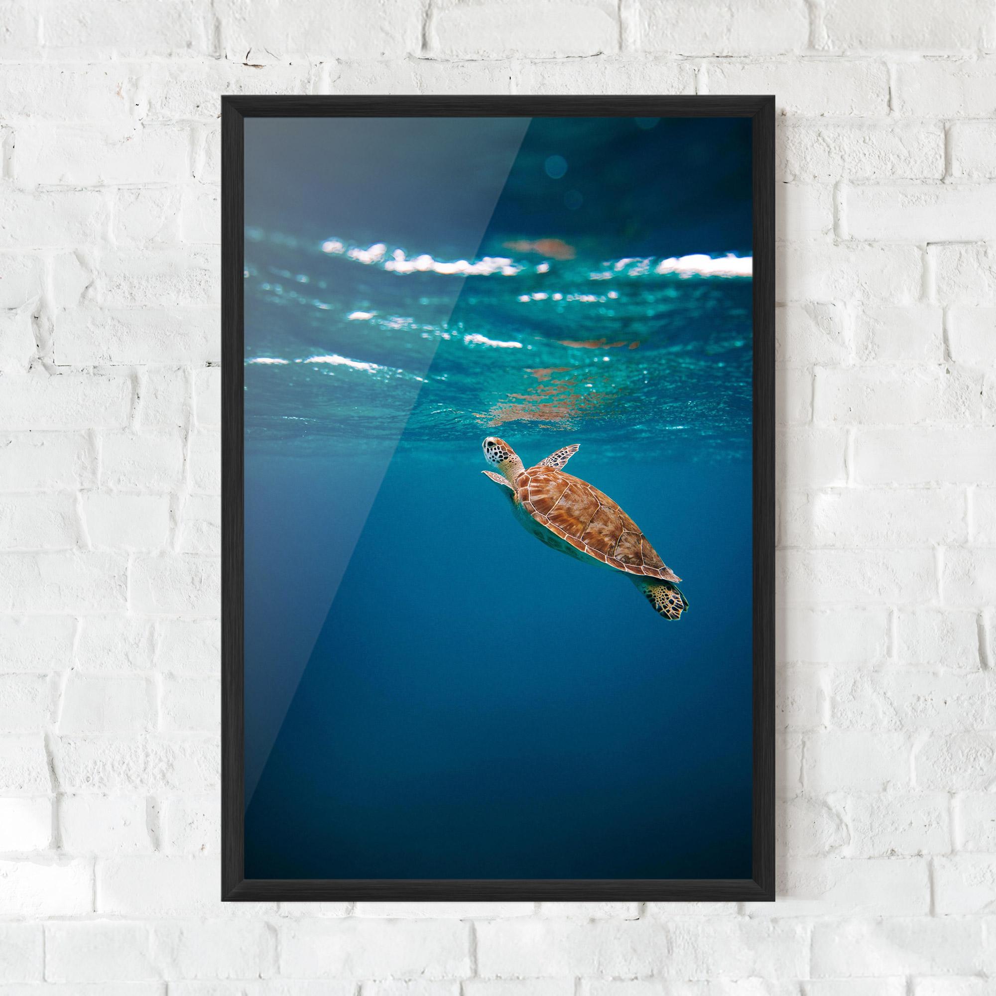 Gerahmte Poster Water Turtle mockup 0