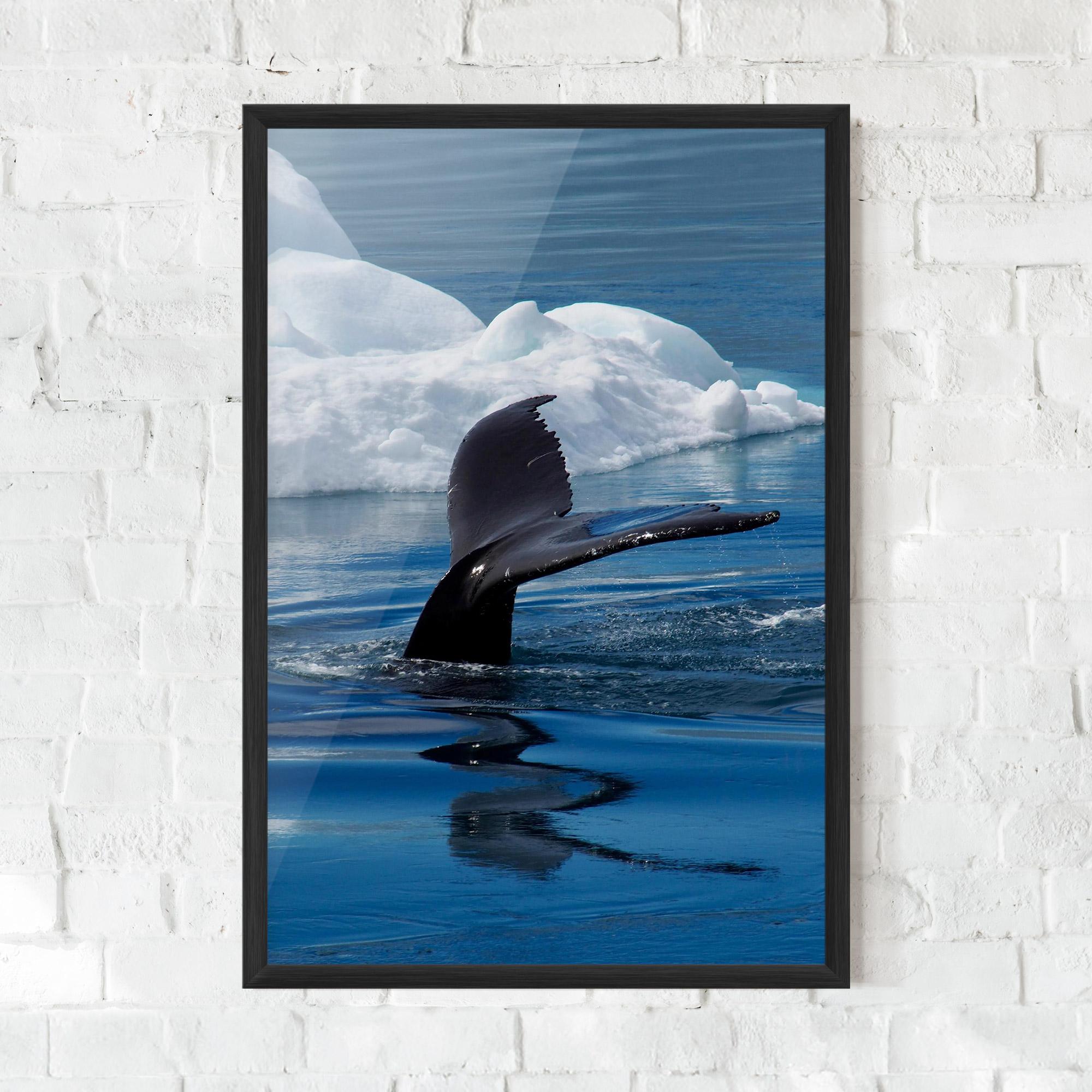 Gerahmte Poster Whale Tail mockup 0