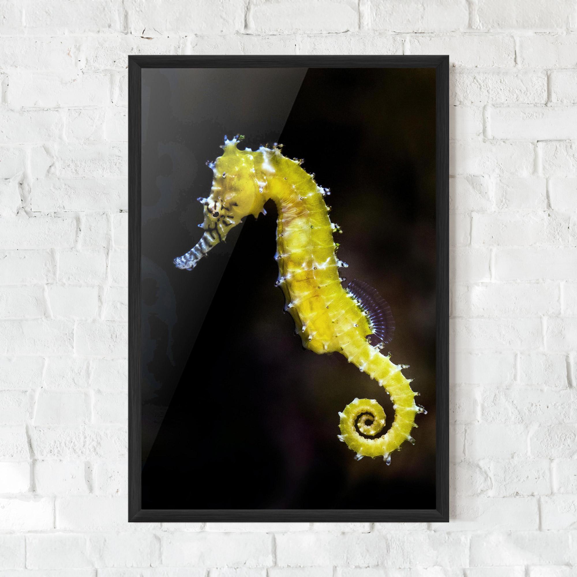Gerahmte Poster Yellow Seahorse mockup 0