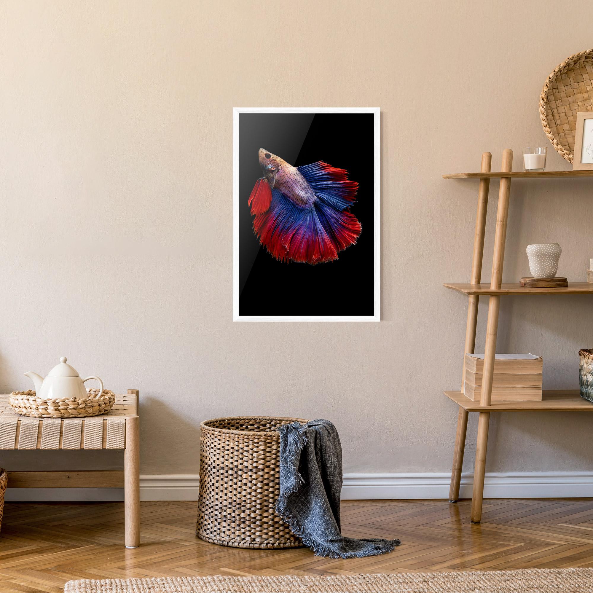 Gerahmte Poster Red Blue Betta mockup 9