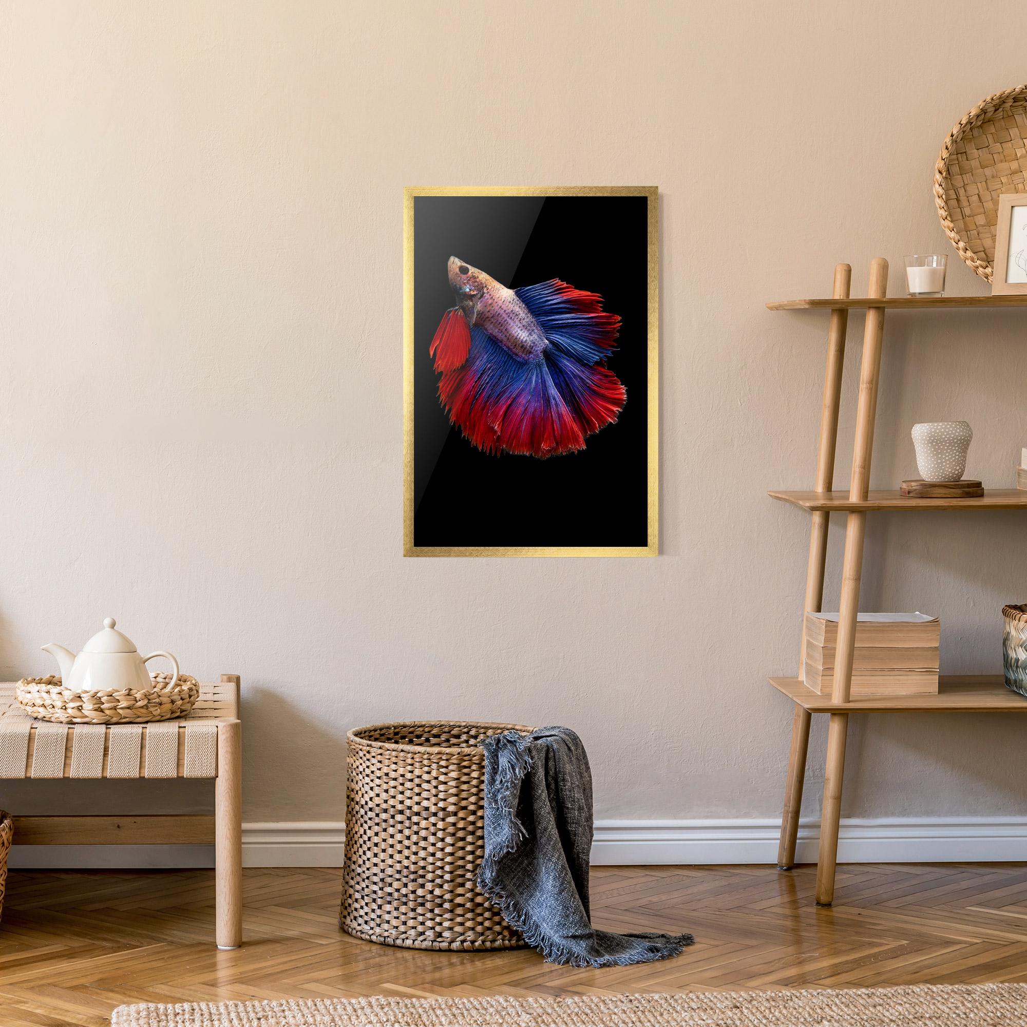 Gerahmte Poster Red Blue Betta mockup 9