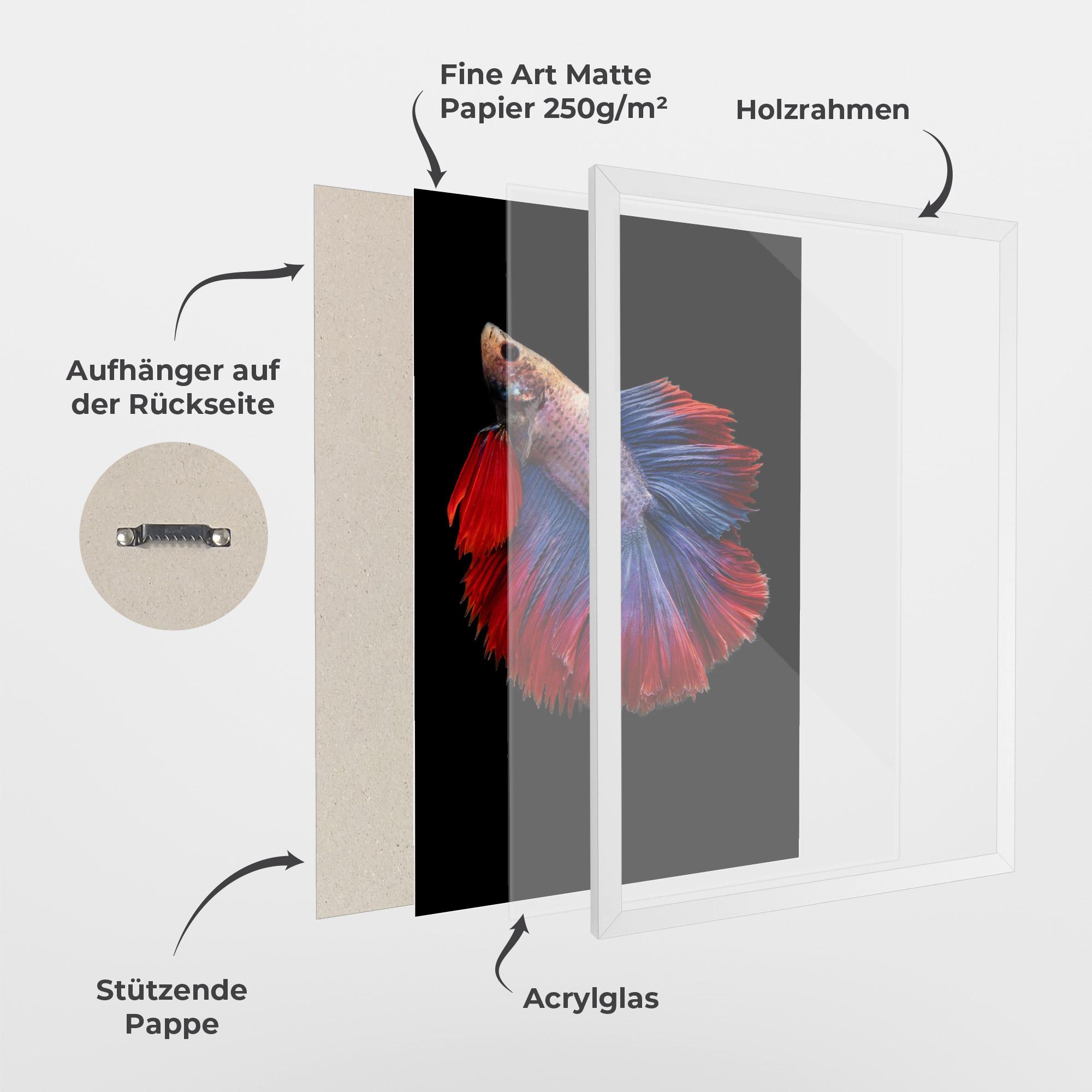 Gerahmte Poster Red Blue Betta mockup 1