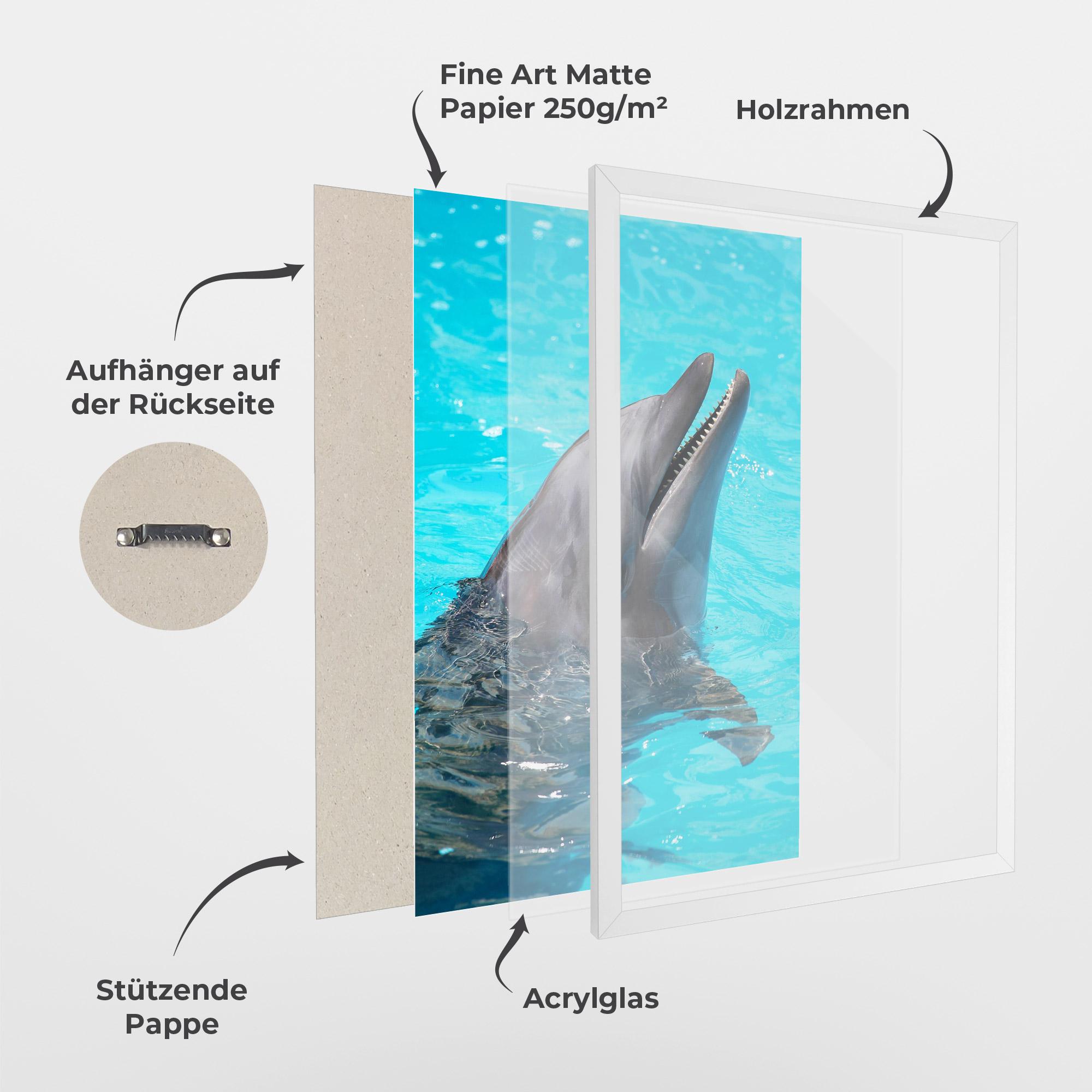 Gerahmte Poster Trained Dolphin mockup 1