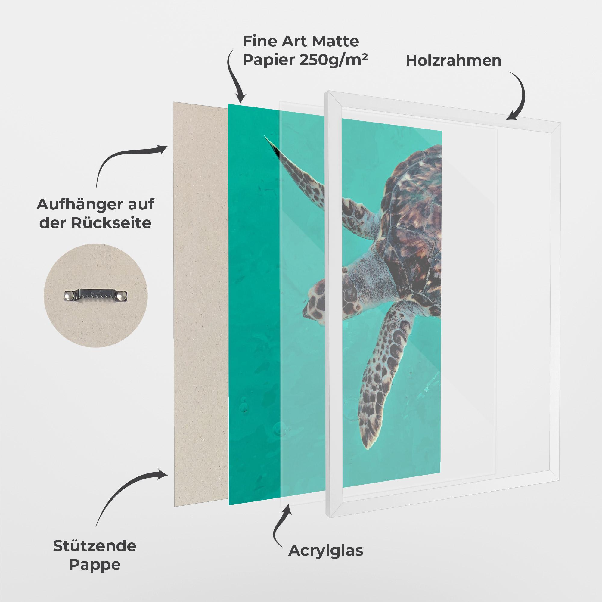 Gerahmte Poster Turtle Sweeming mockup 1