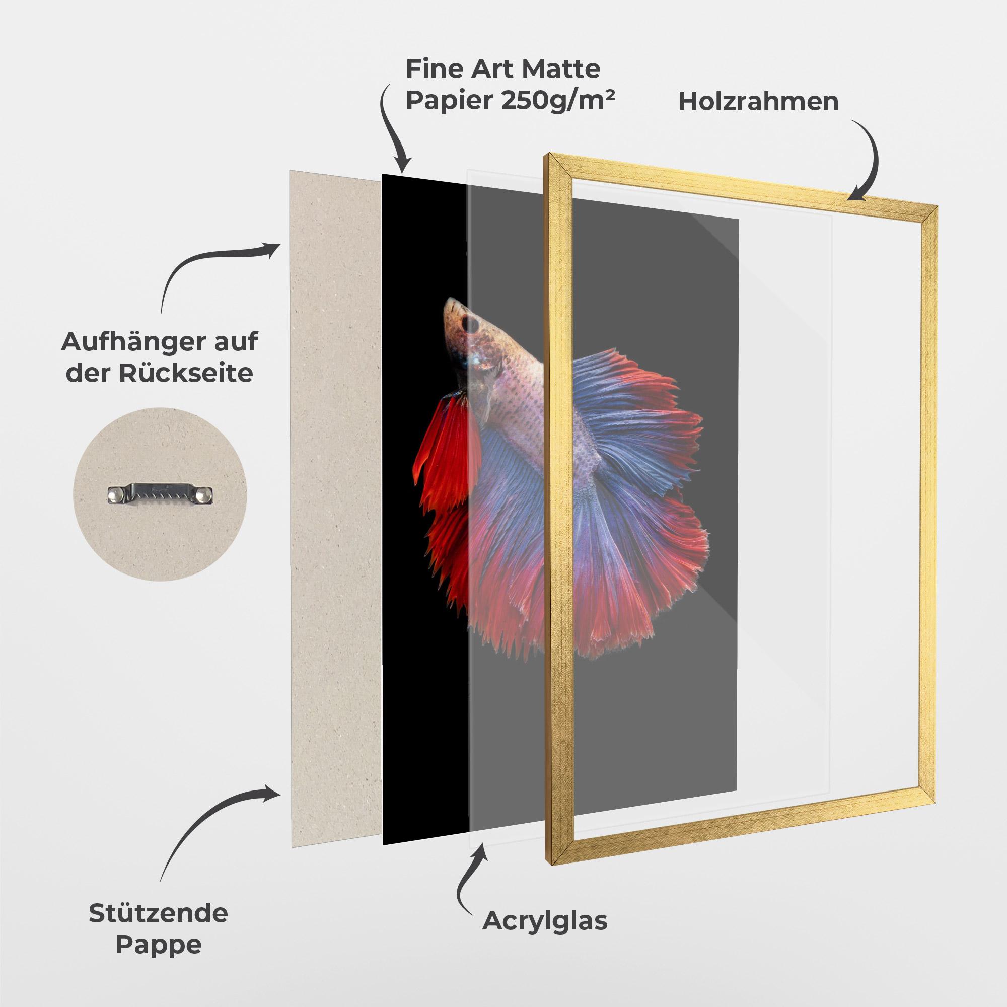 Gerahmte Poster Red Blue Betta mockup 1