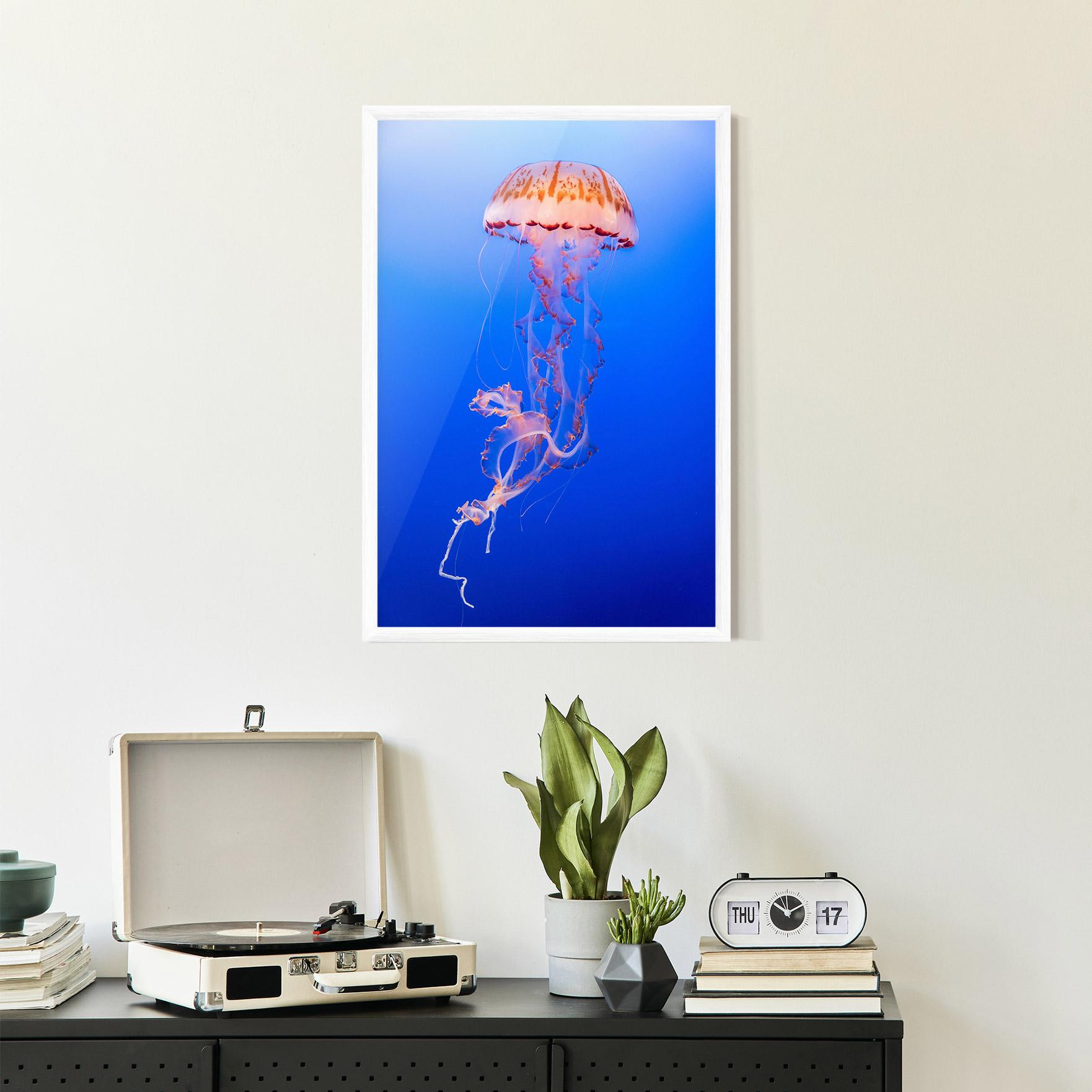 Gerahmte Poster Pretty White Jellyfish mockup 2