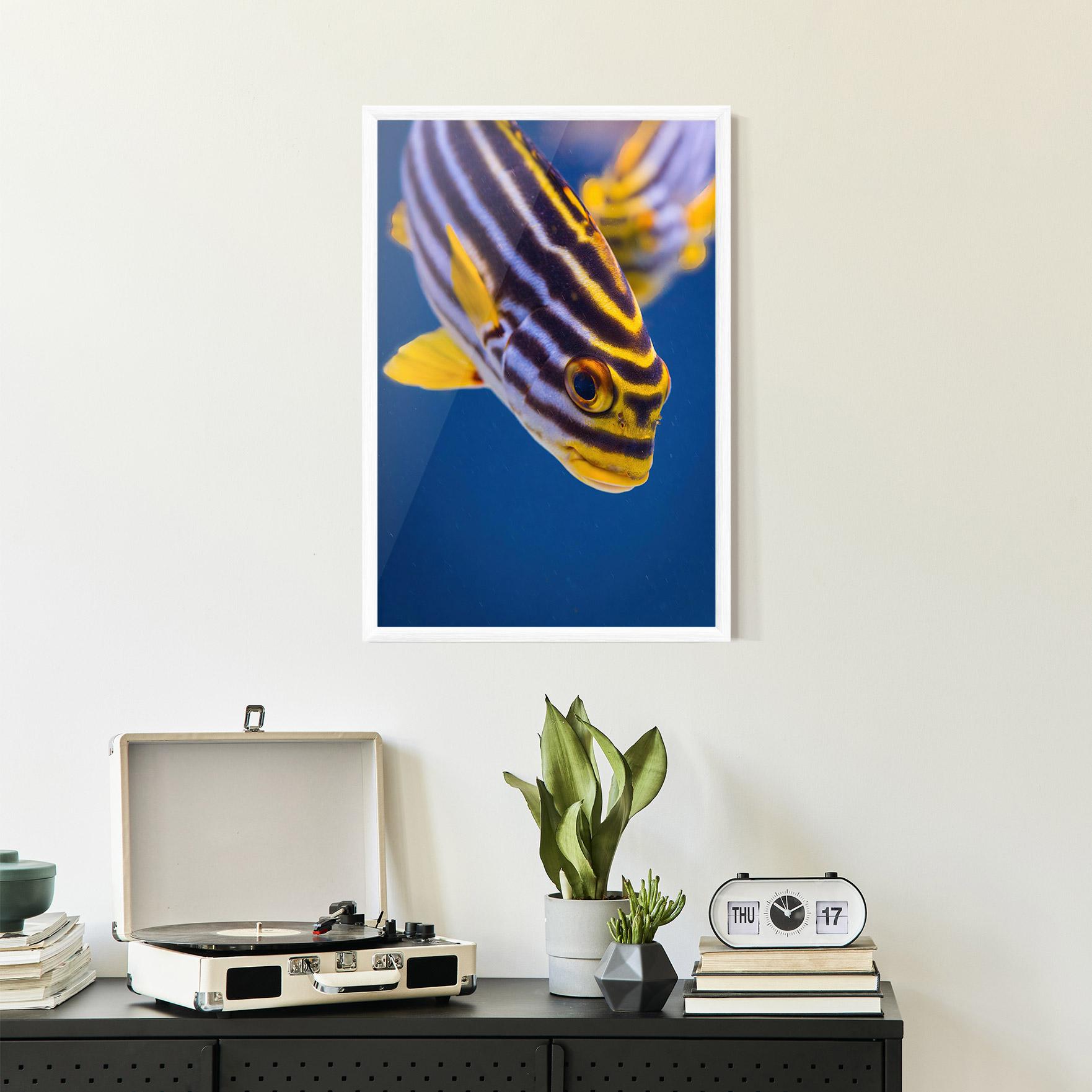 Gerahmte Poster Purple Yellow Fish mockup 2