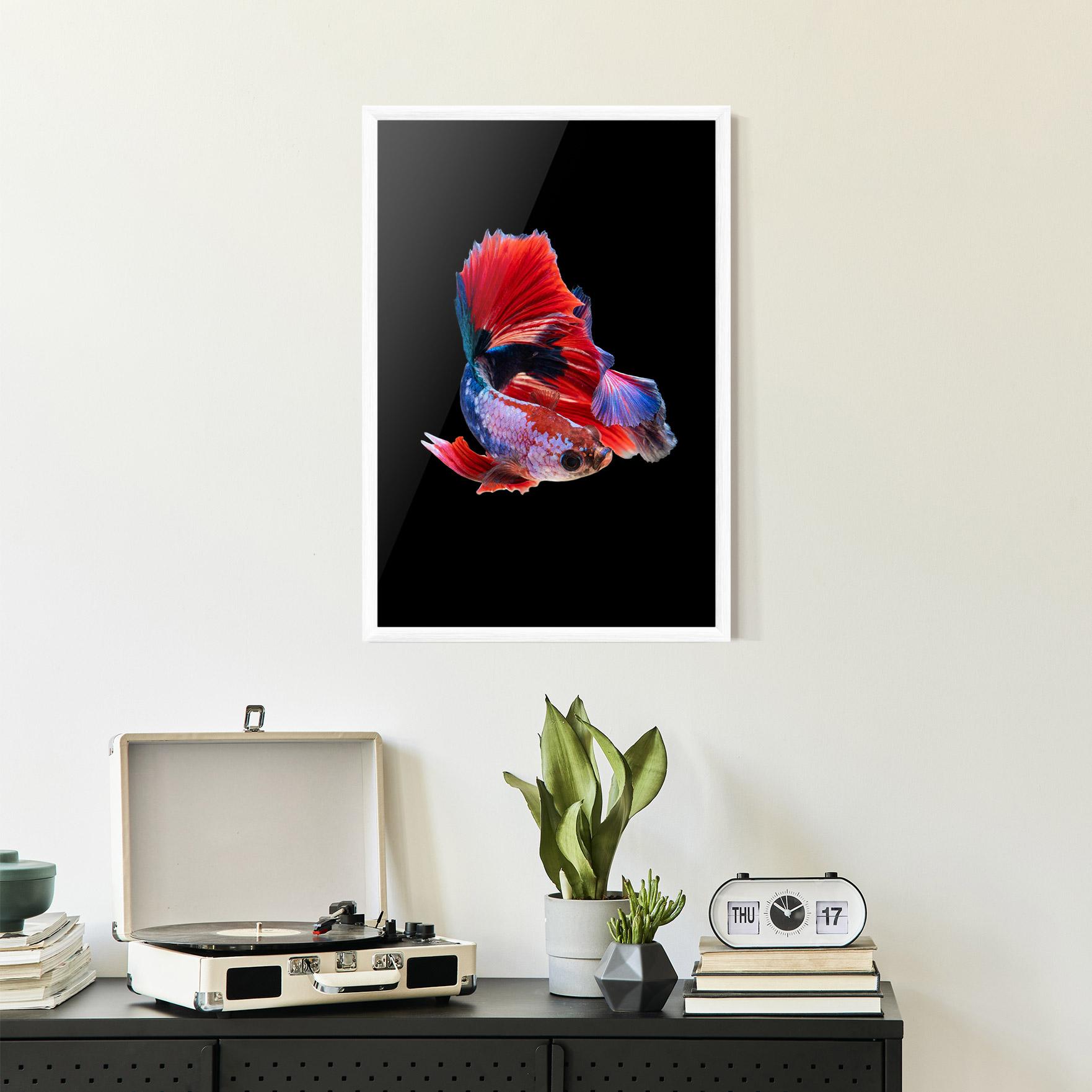 Gerahmte Poster Red Black Betta mockup 2
