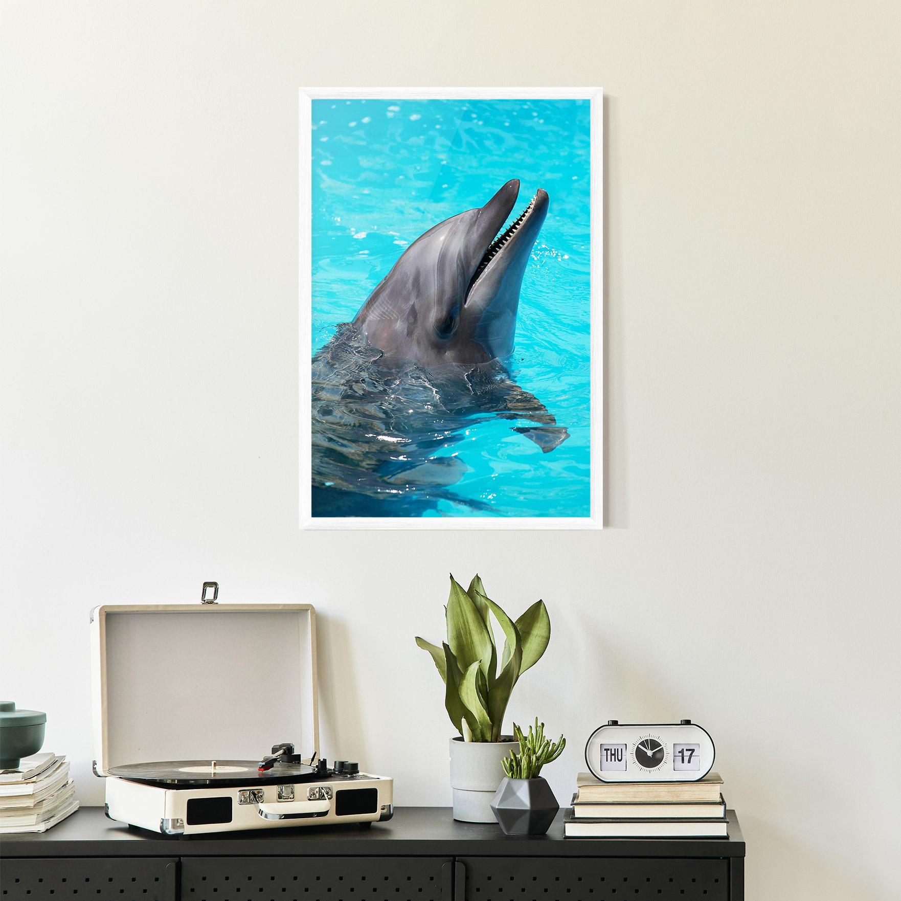 Gerahmte Poster Trained Dolphin mockup 2