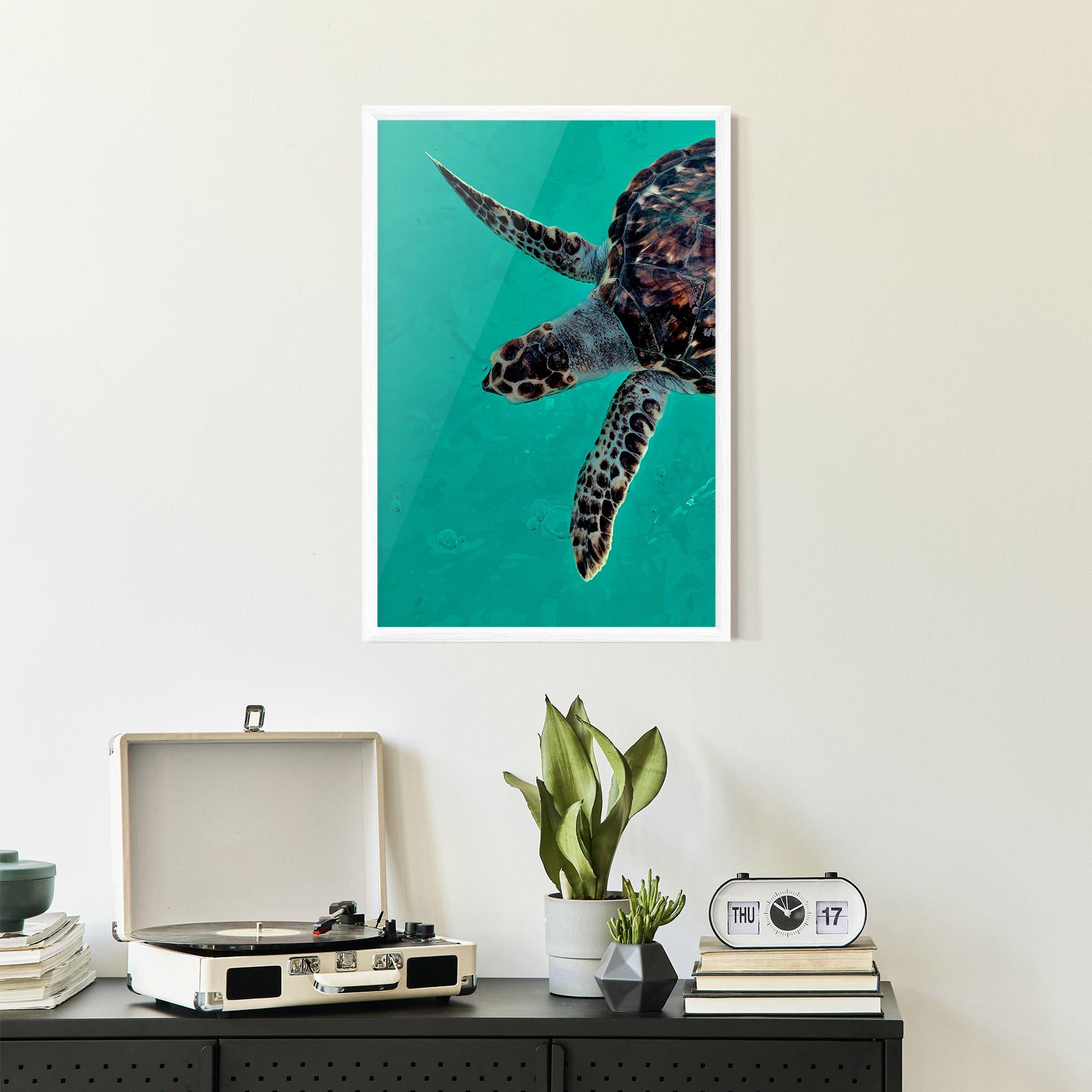 Gerahmte Poster Turtle Sweeming mockup 2