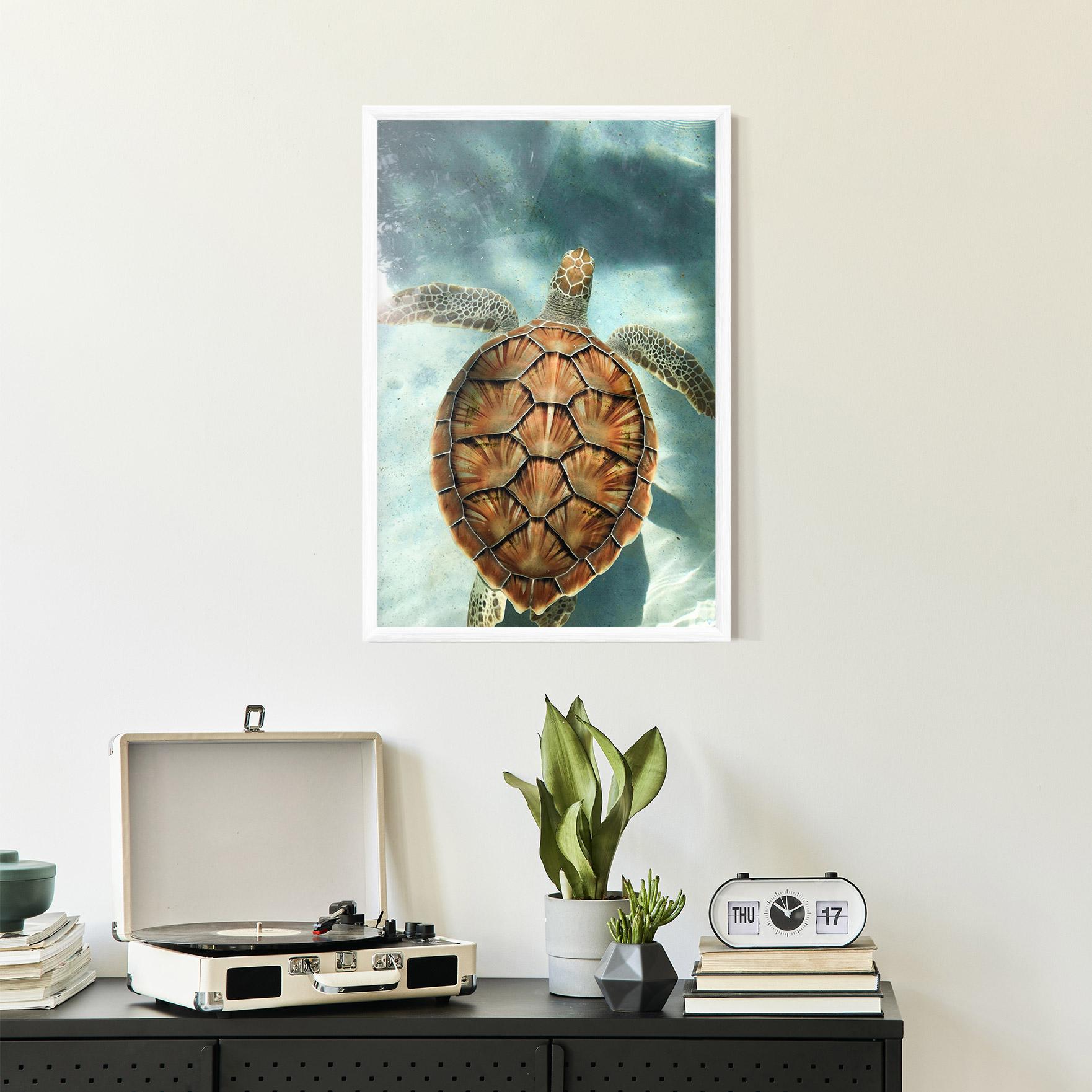 Gerahmte Poster Water Tortoise mockup 2