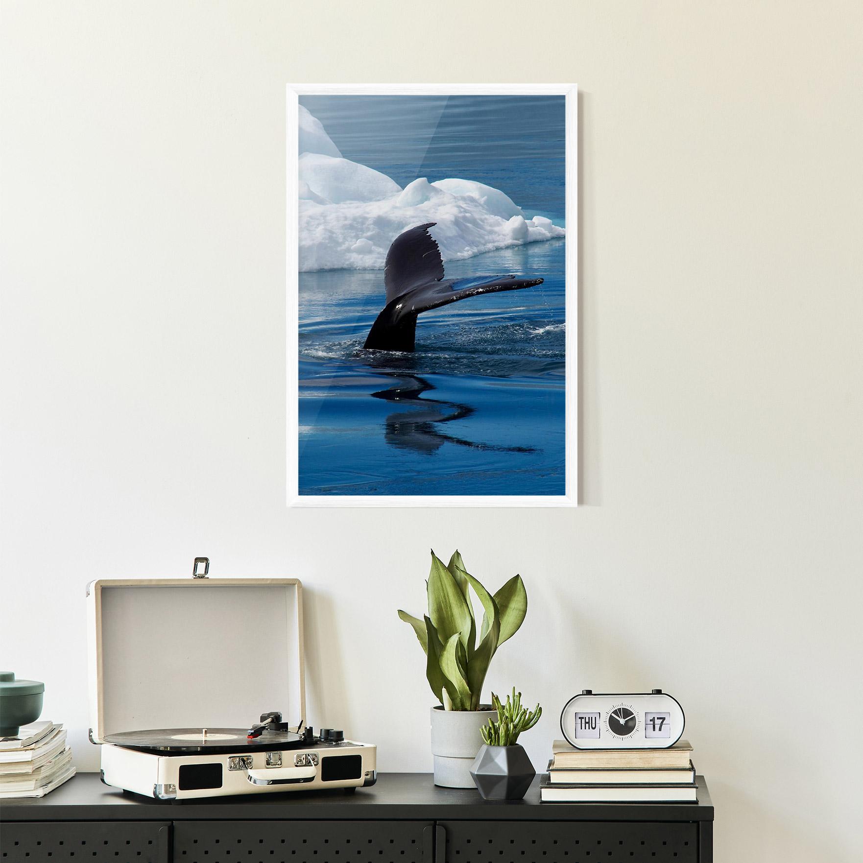 Gerahmte Poster Whale Tail mockup 2