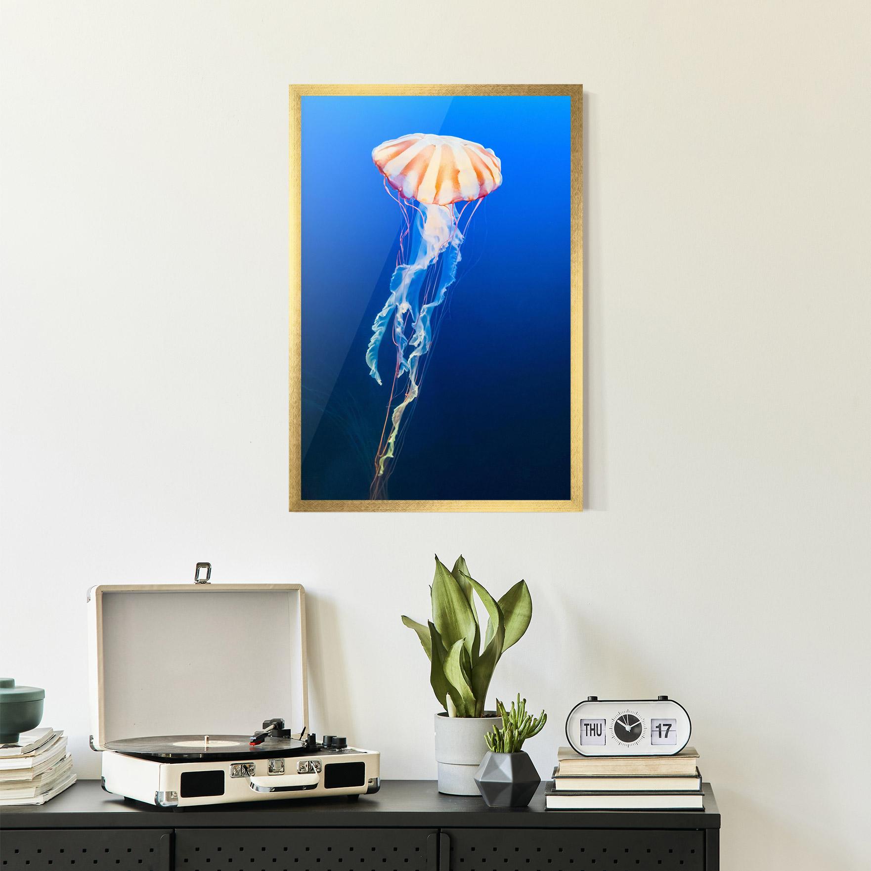 Gerahmte Poster Cream Jellyfish mockup 2