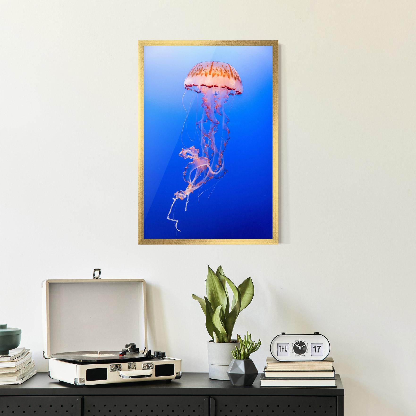 Gerahmte Poster Pretty White Jellyfish mockup 2
