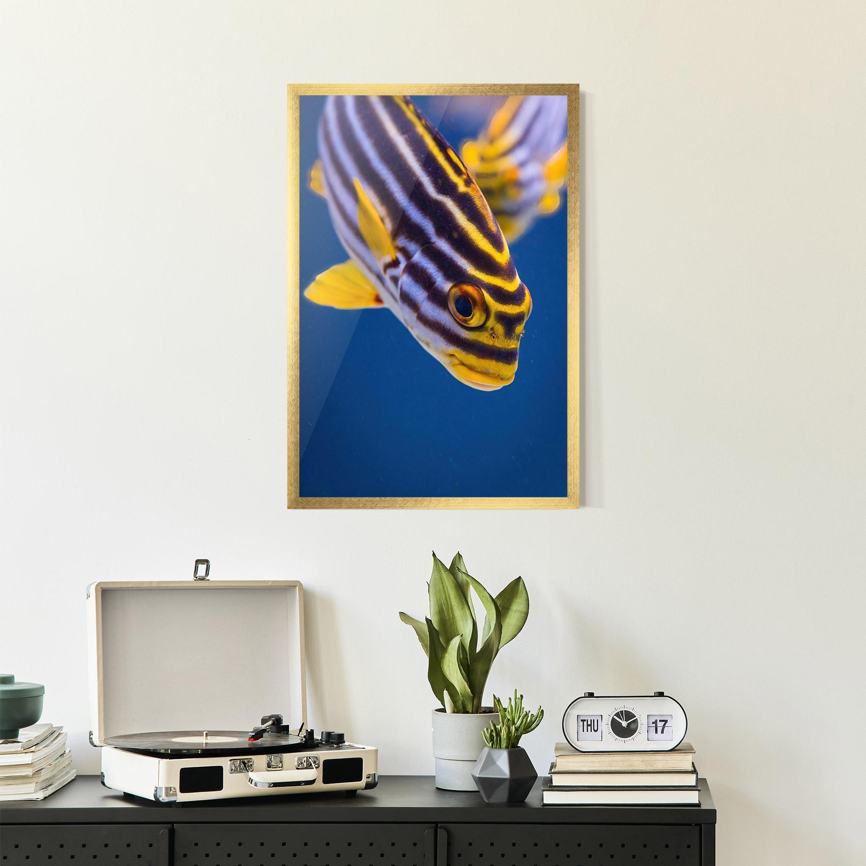 Gerahmte Poster Purple Yellow Fish mockup 2