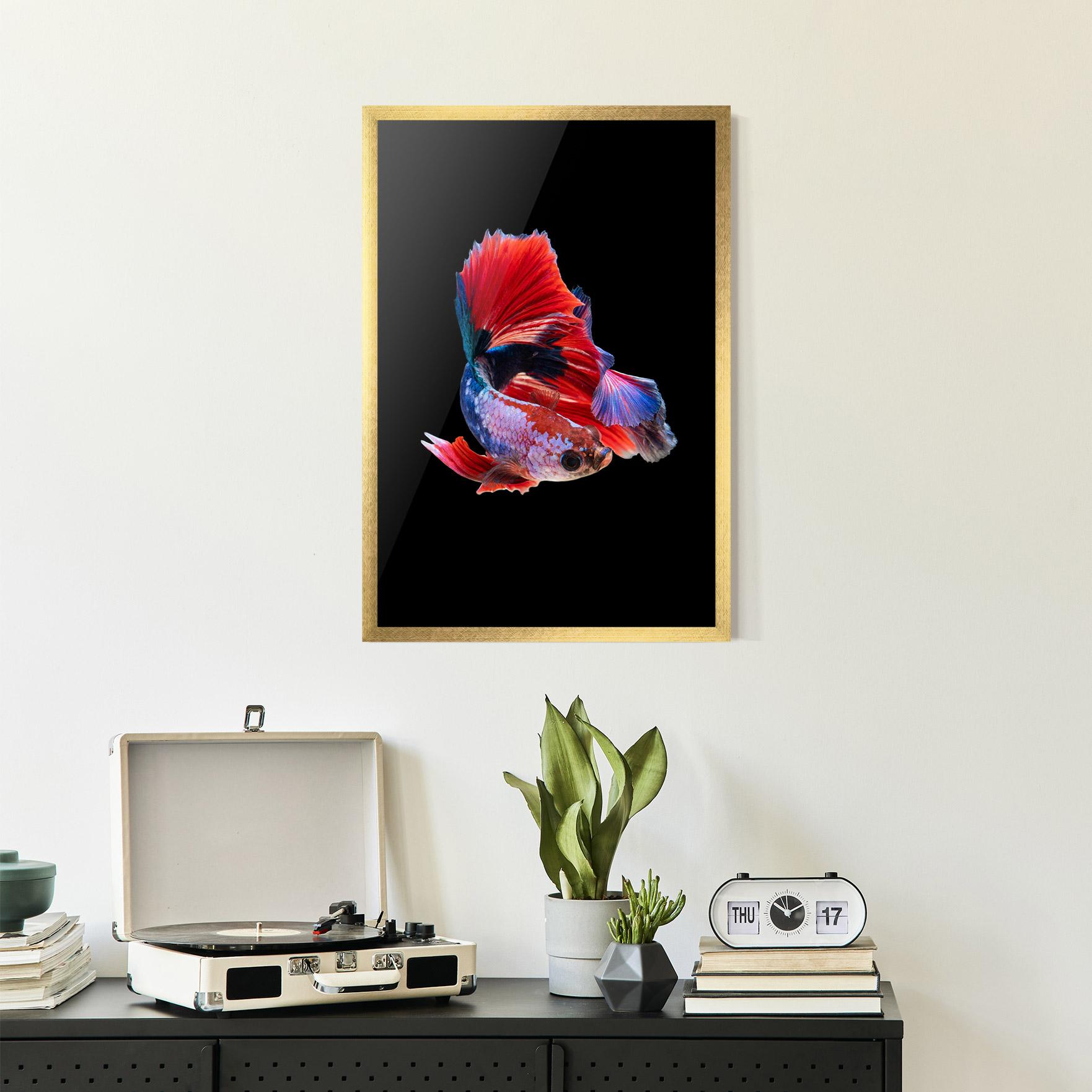 Gerahmte Poster Red Black Betta mockup 2