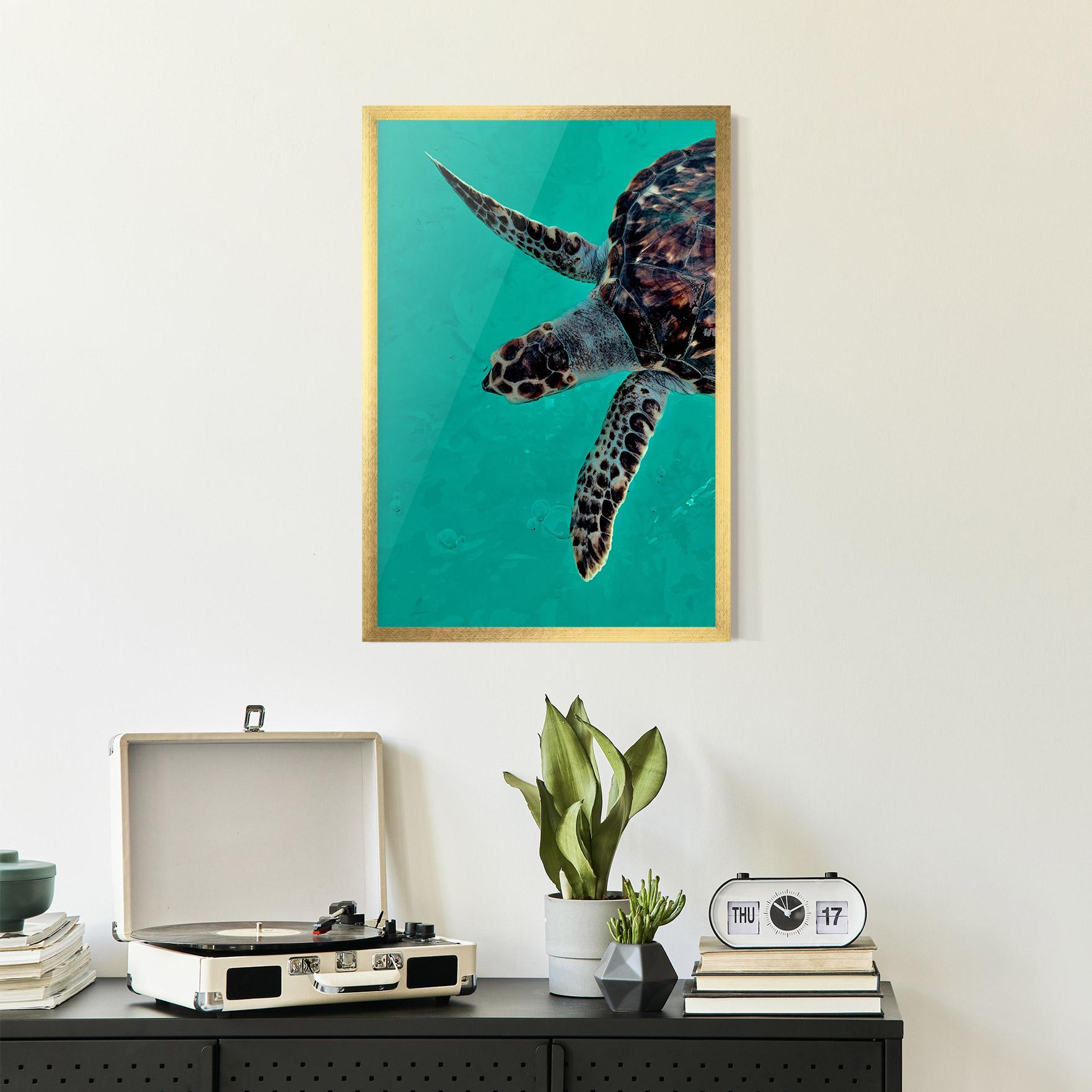 Gerahmte Poster Turtle Sweeming mockup 2