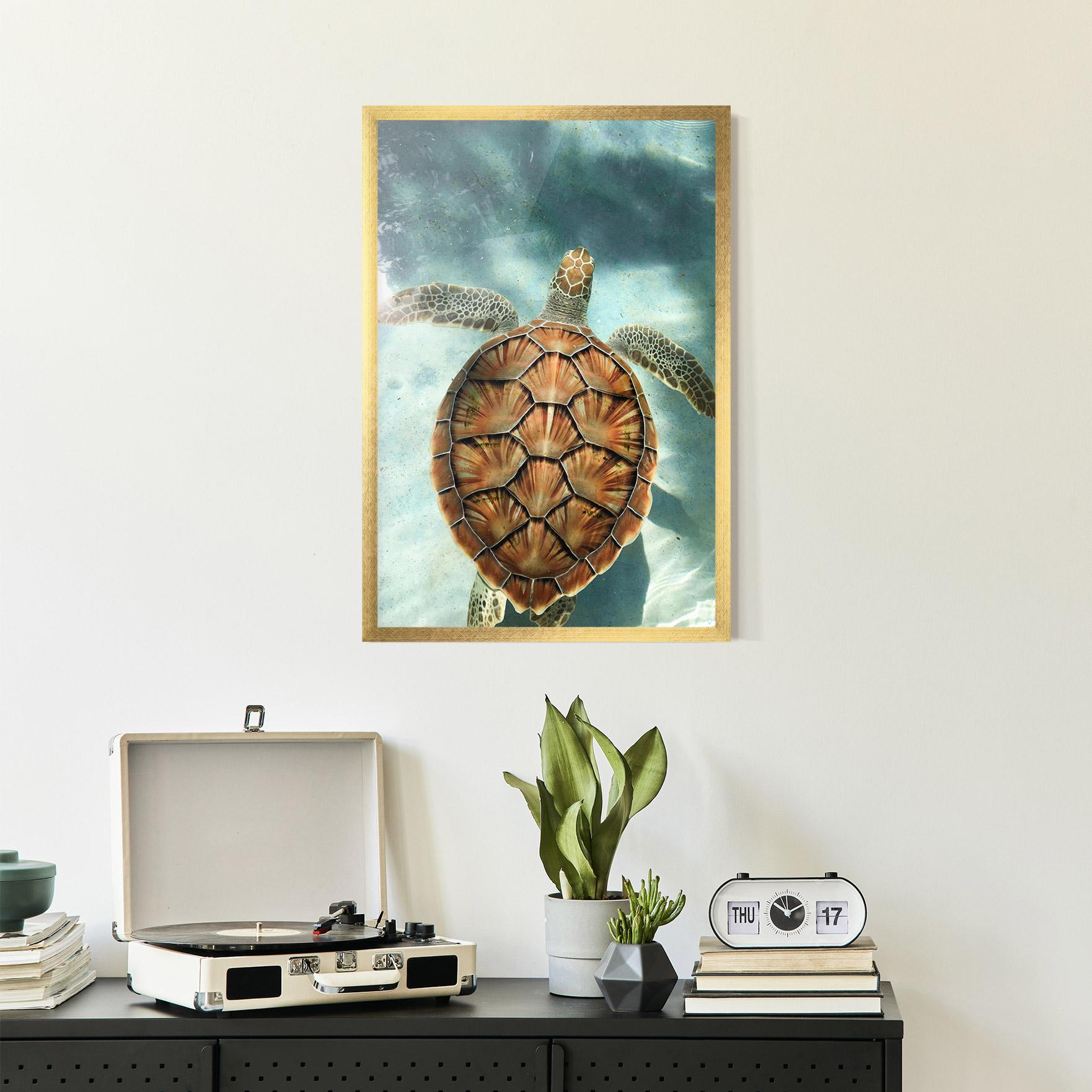 Gerahmte Poster Water Tortoise mockup 2