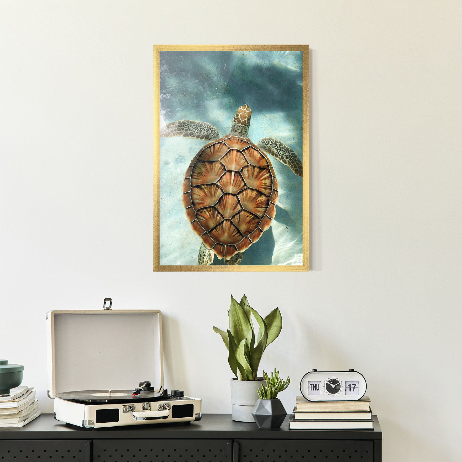 Water Tortoise mockup 2