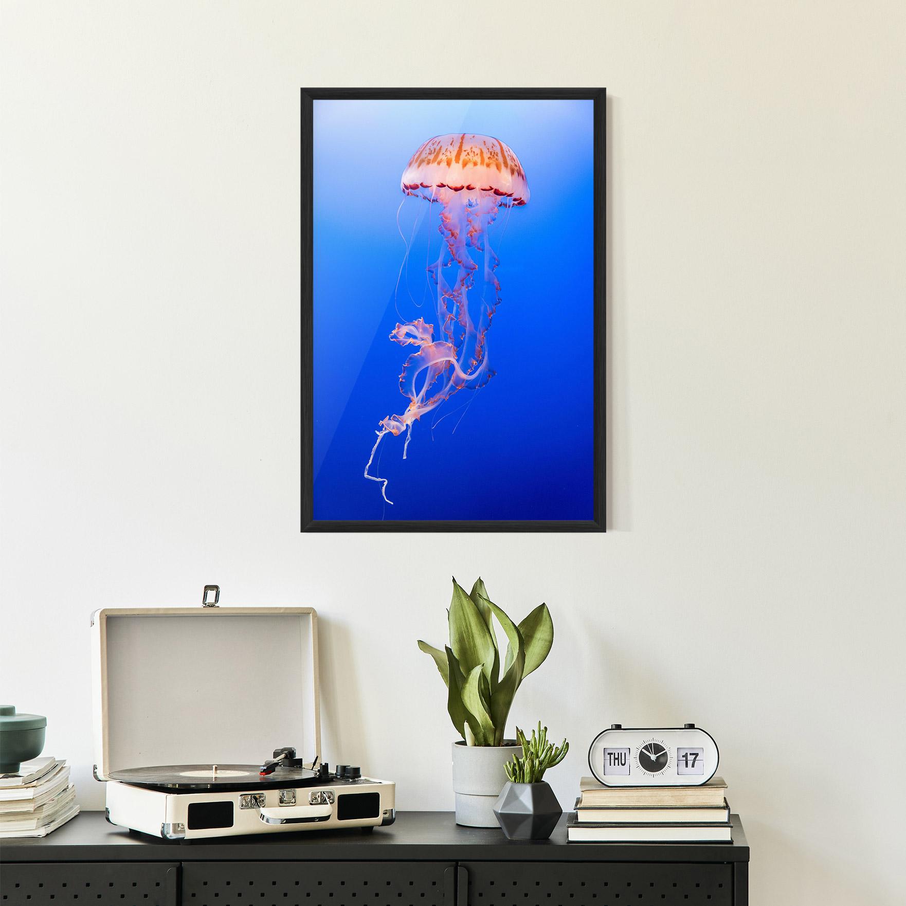 Gerahmte Poster Pretty White Jellyfish mockup 2