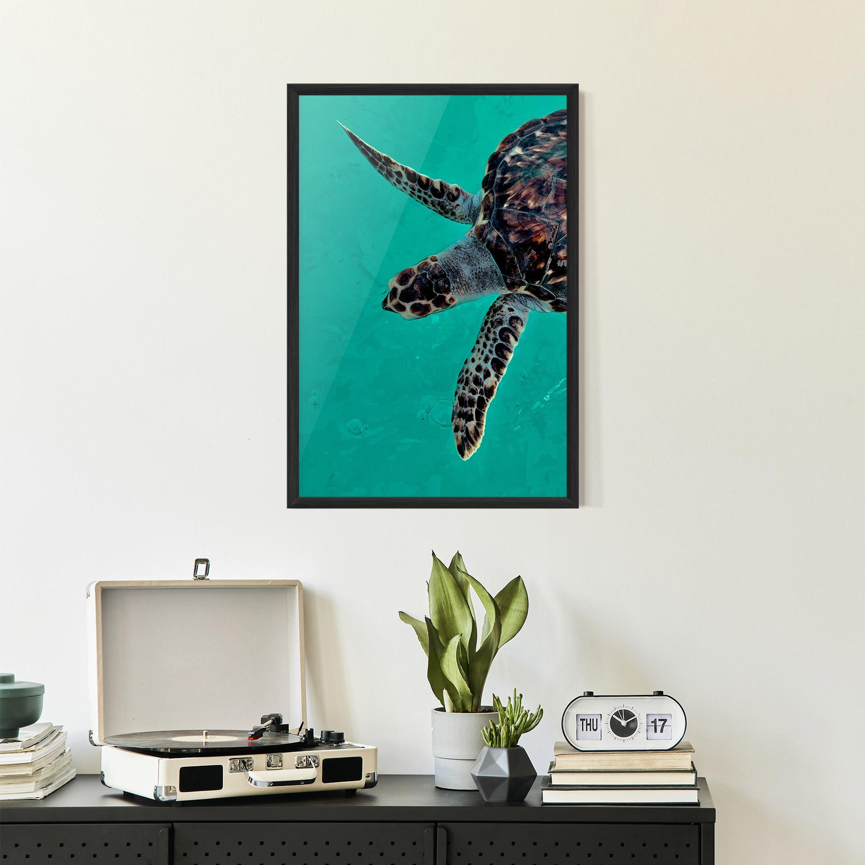 Gerahmte Poster Turtle Sweeming mockup 2