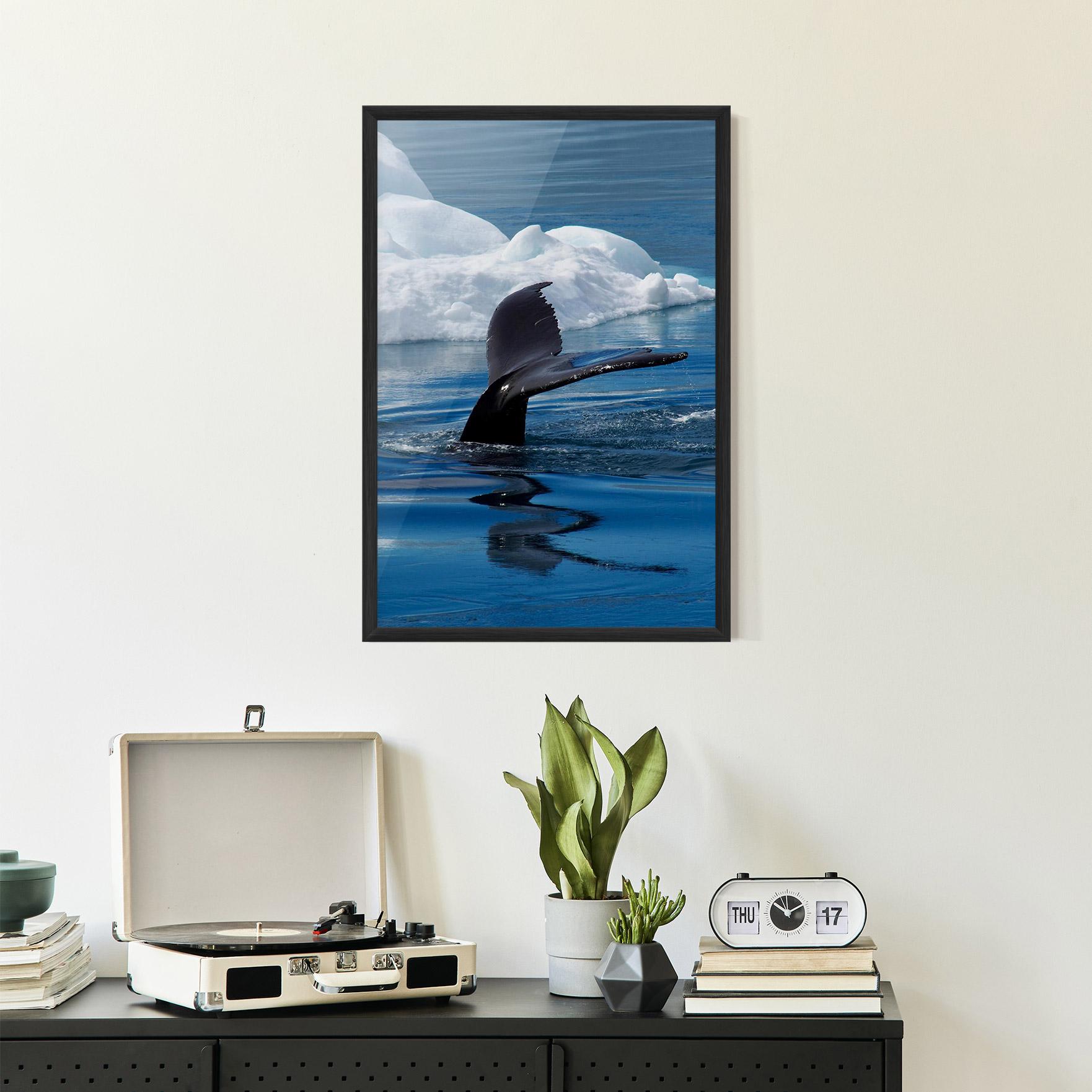 Gerahmte Poster Whale Tail mockup 2